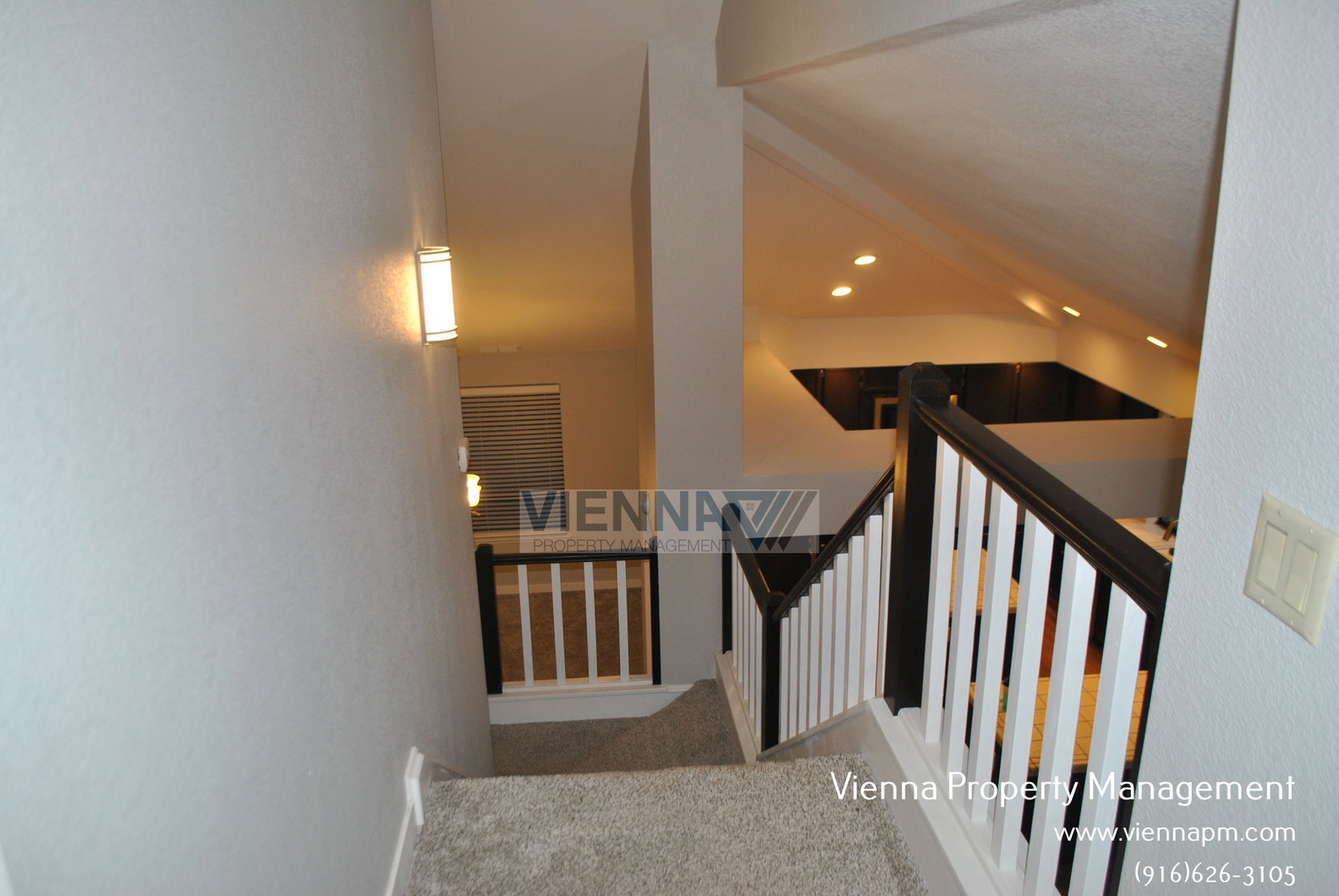 Gallery Image 19