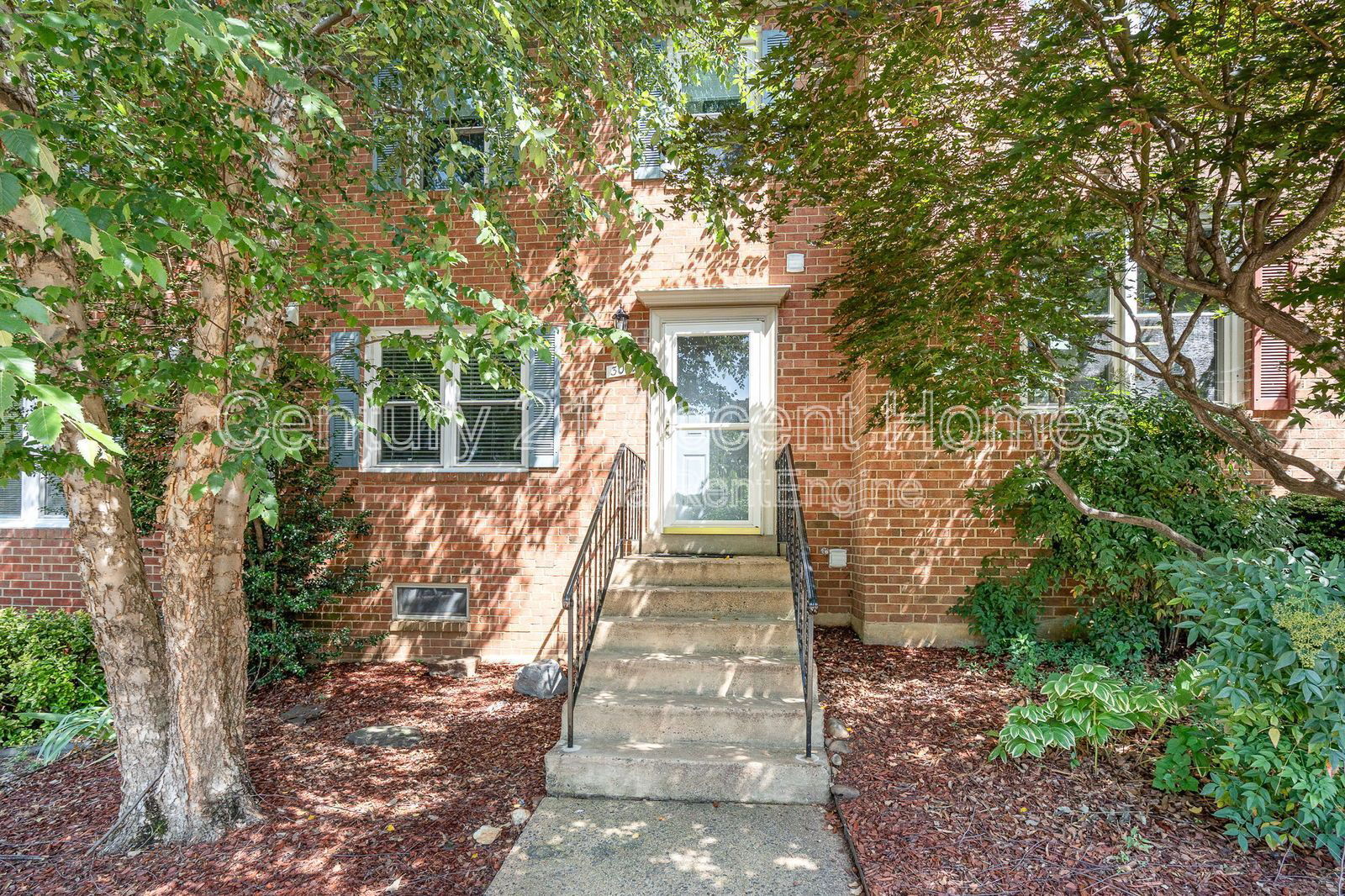 Gallery Image 0