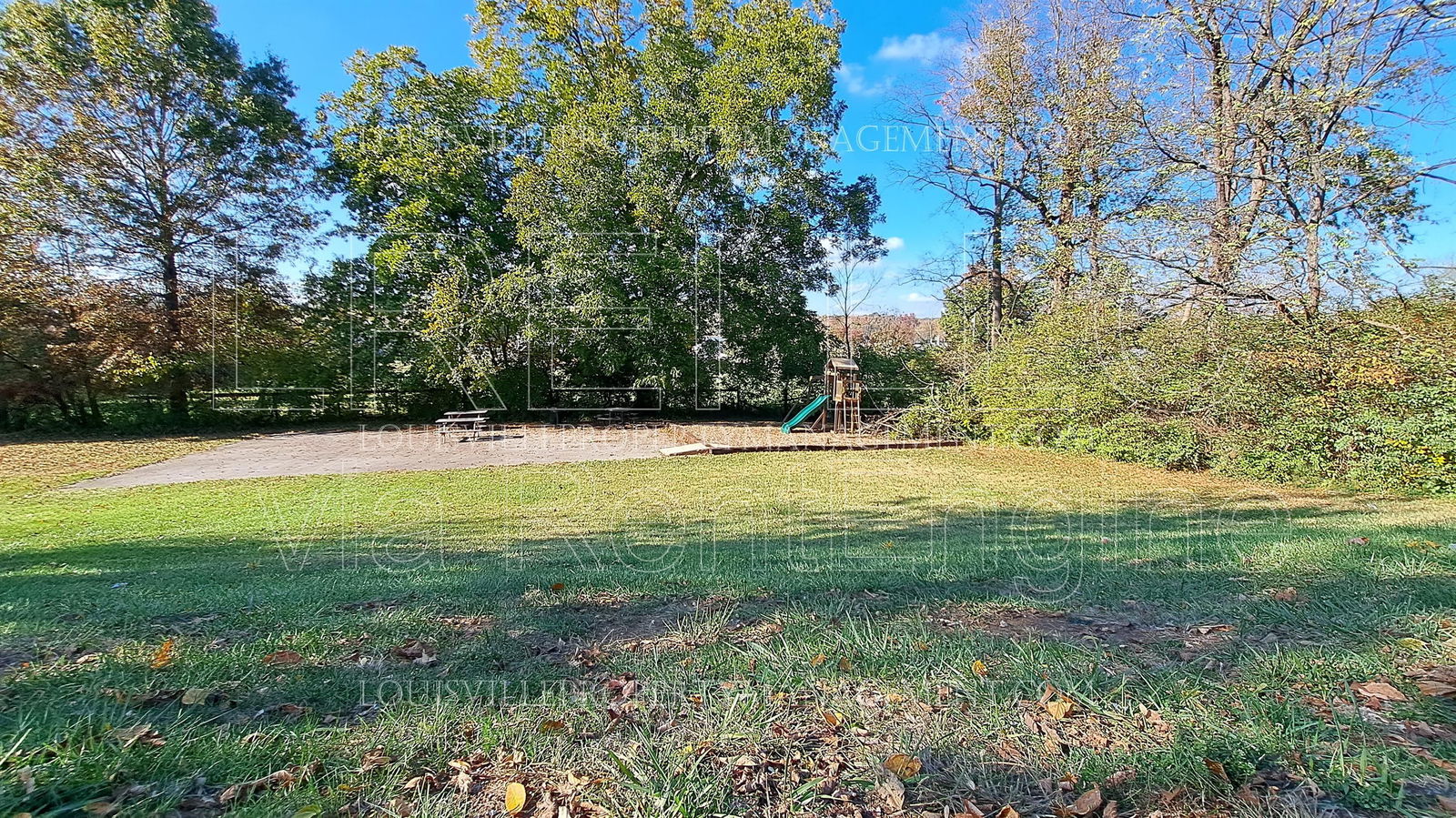 Gallery Image 13