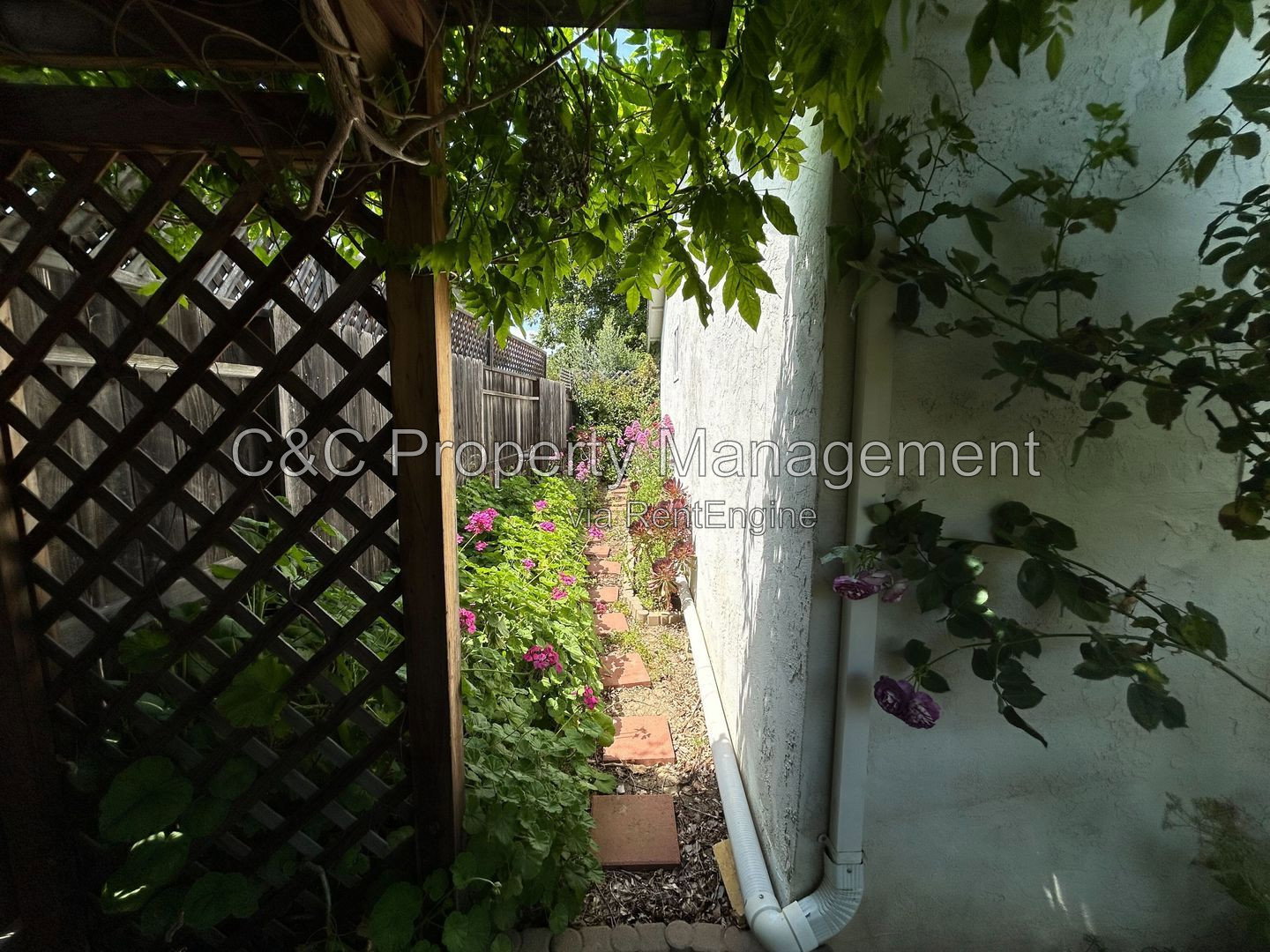 Gallery Image 14