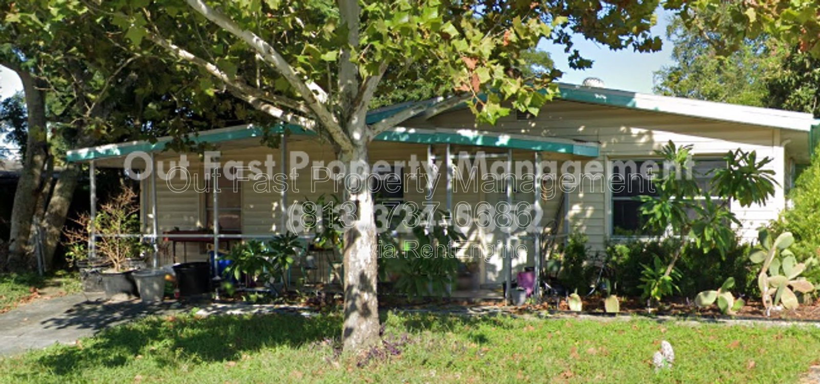 Gallery Image 0