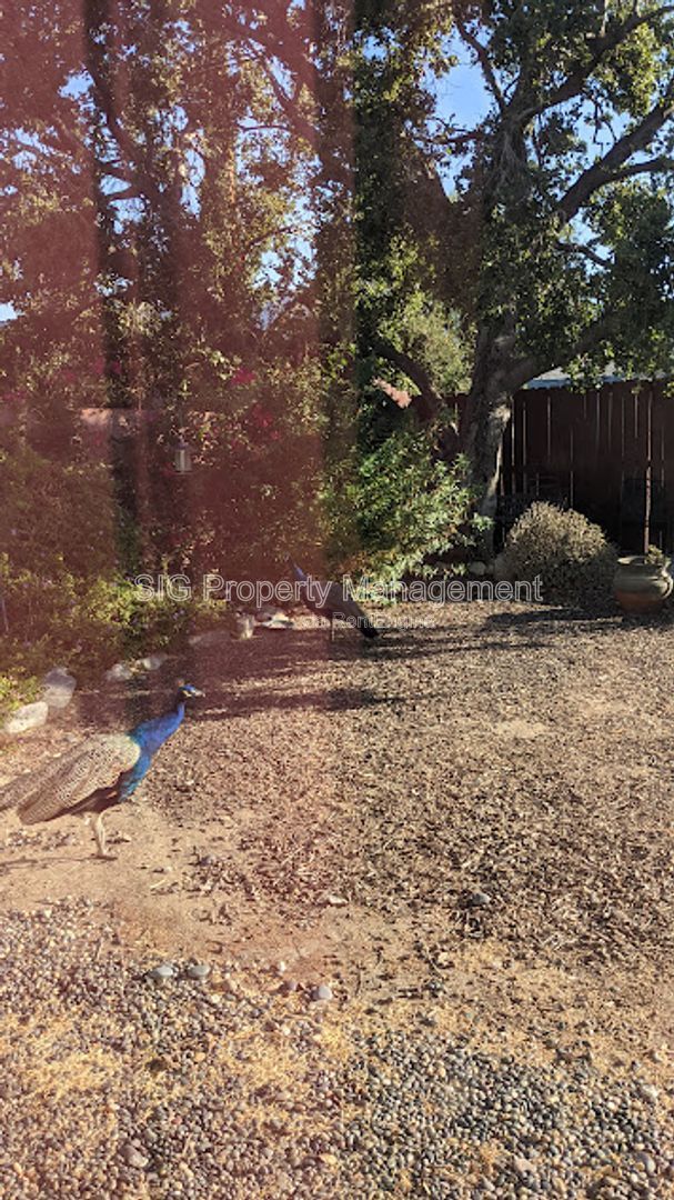 Gallery Image 62