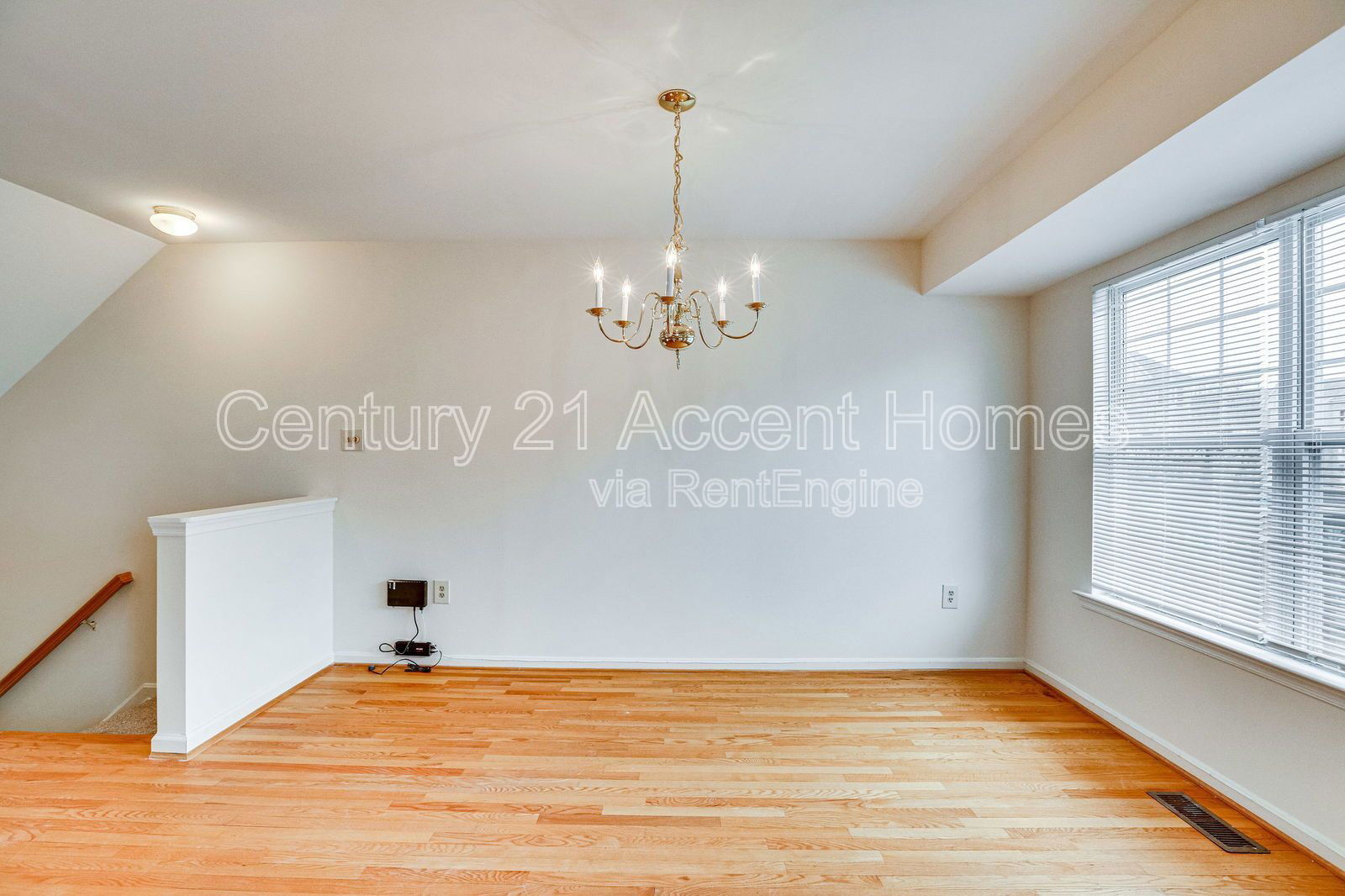 Gallery Image 19