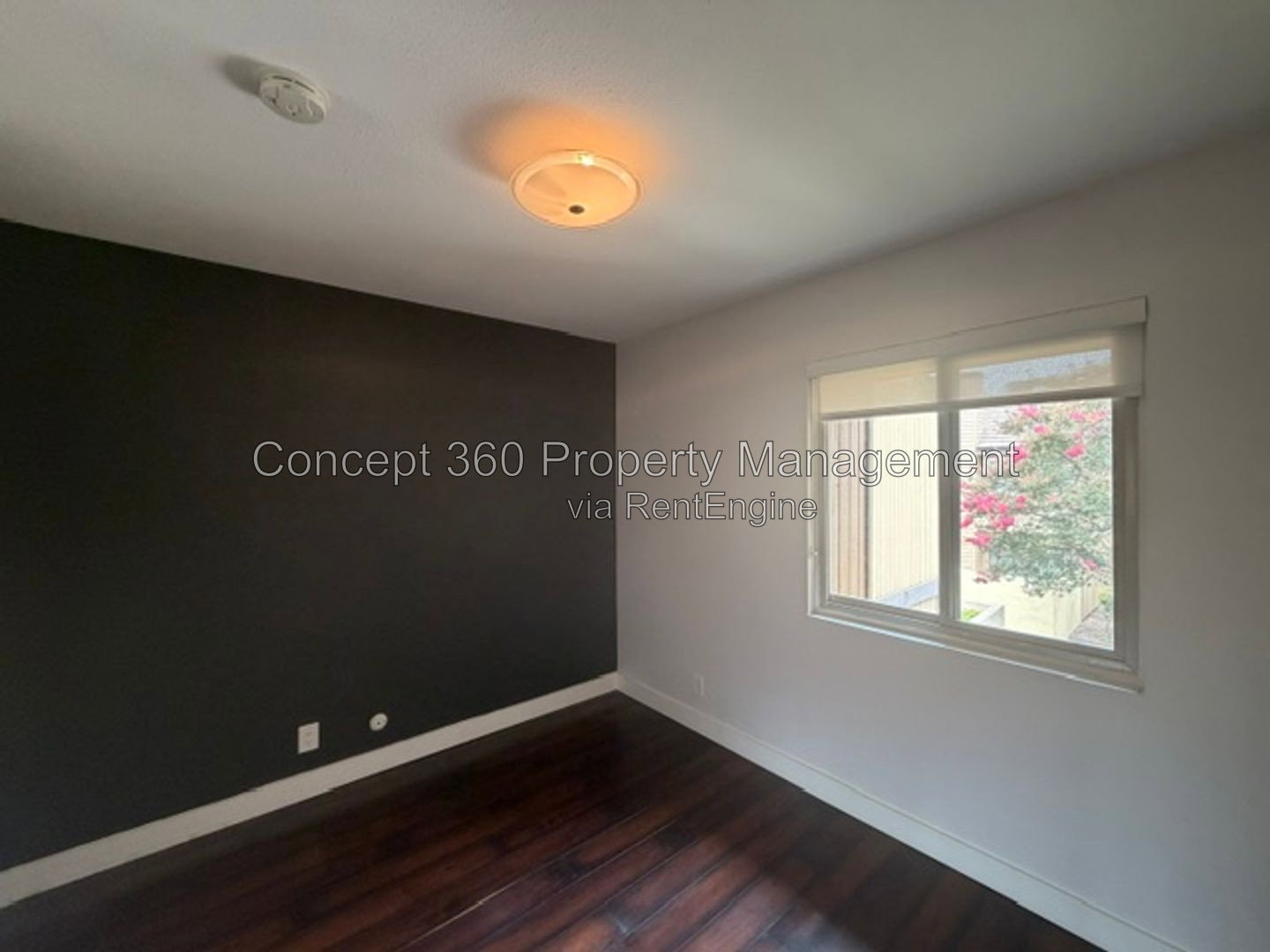 Gallery Image 33