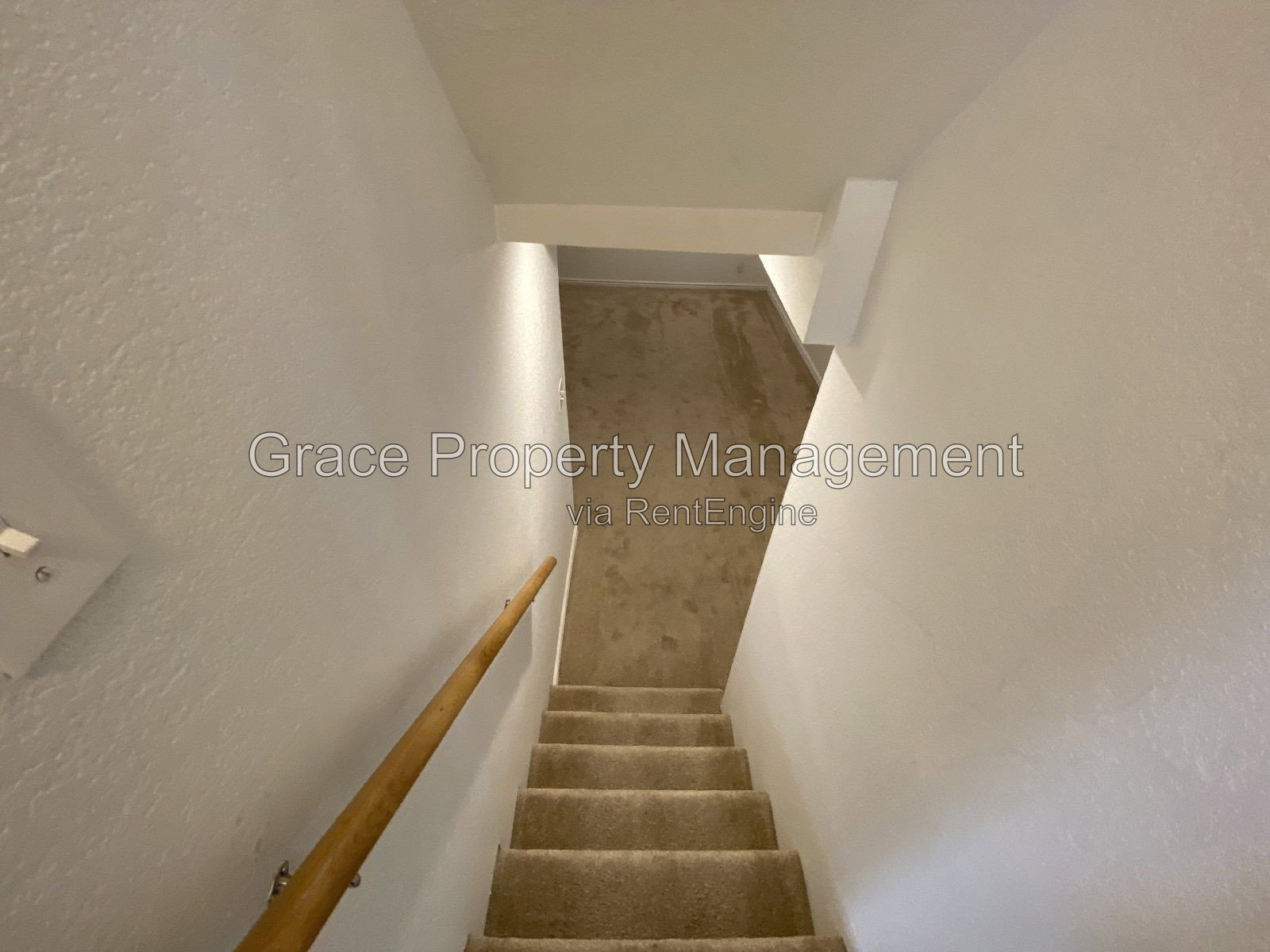 Gallery Image 25
