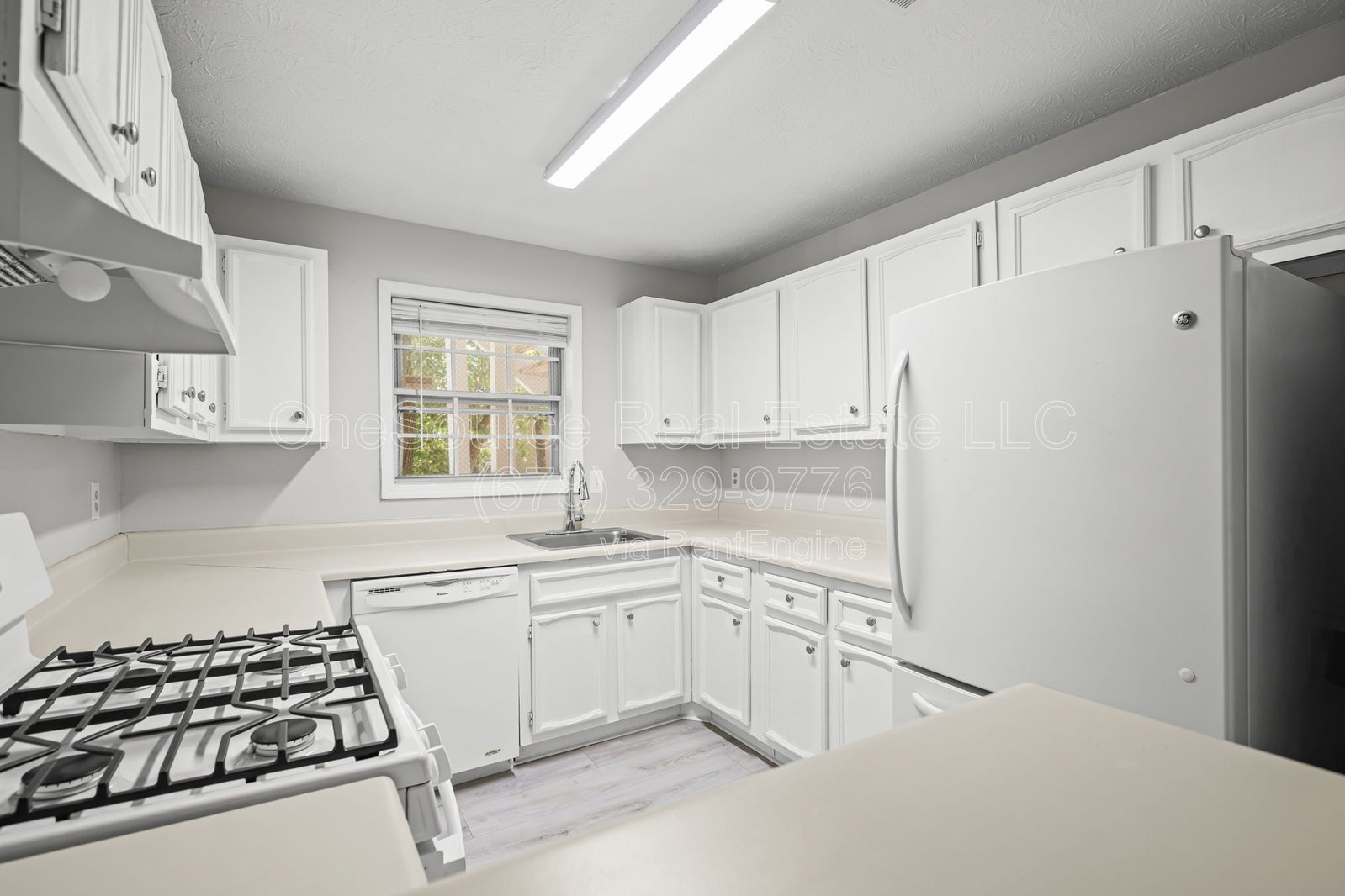 Gallery Image 12