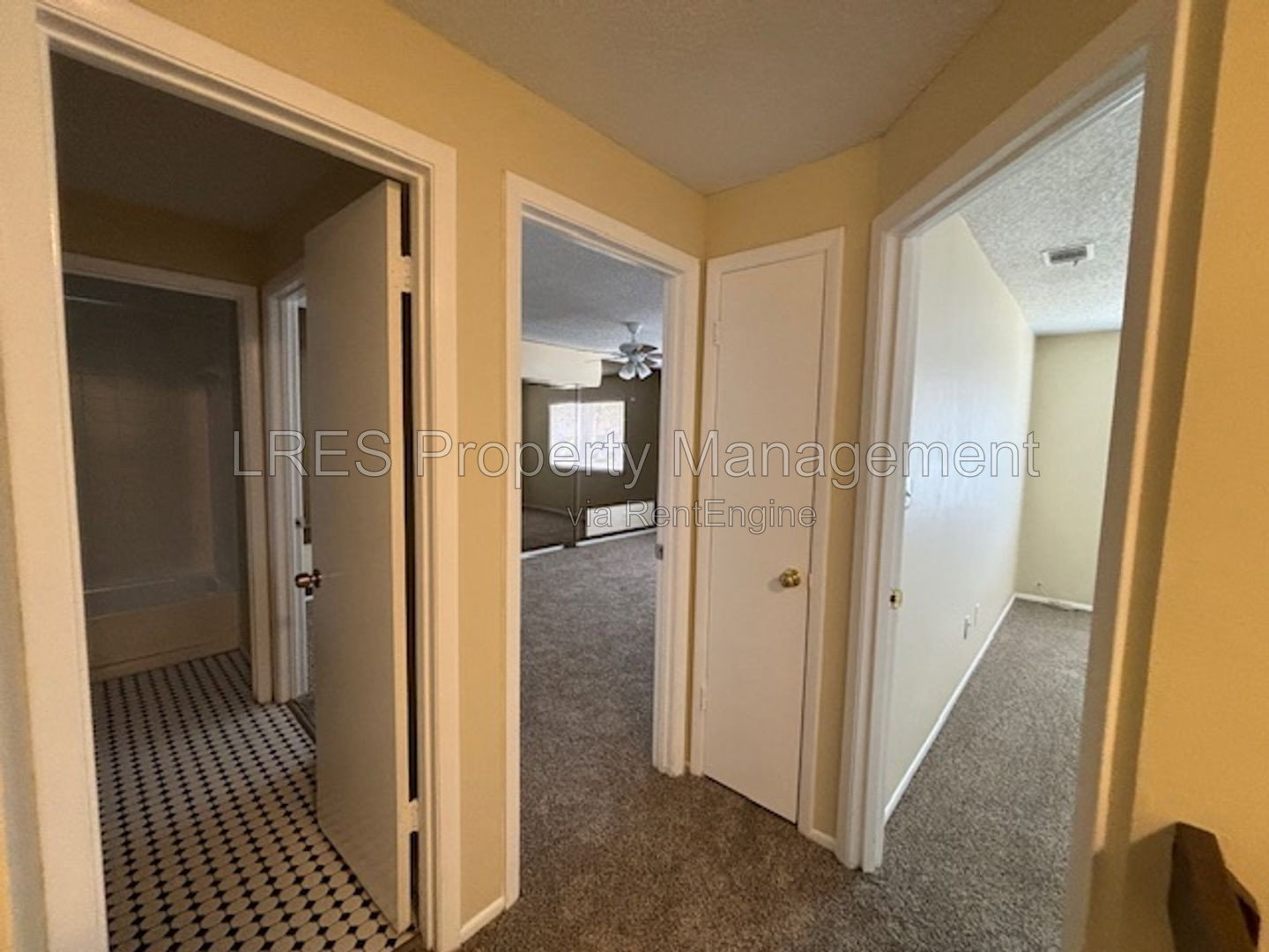 Gallery Image 18