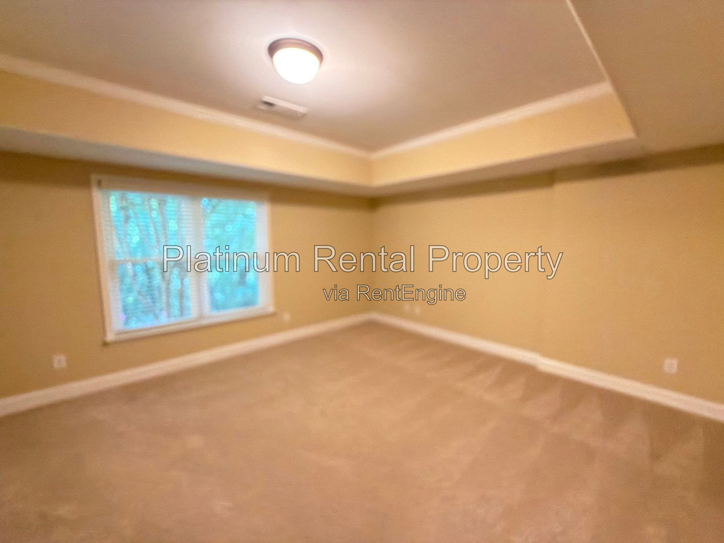 Gallery Image 43