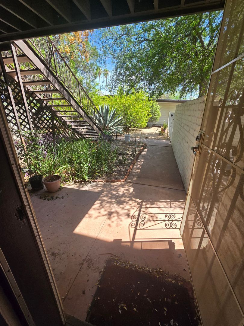 Gallery Image 19