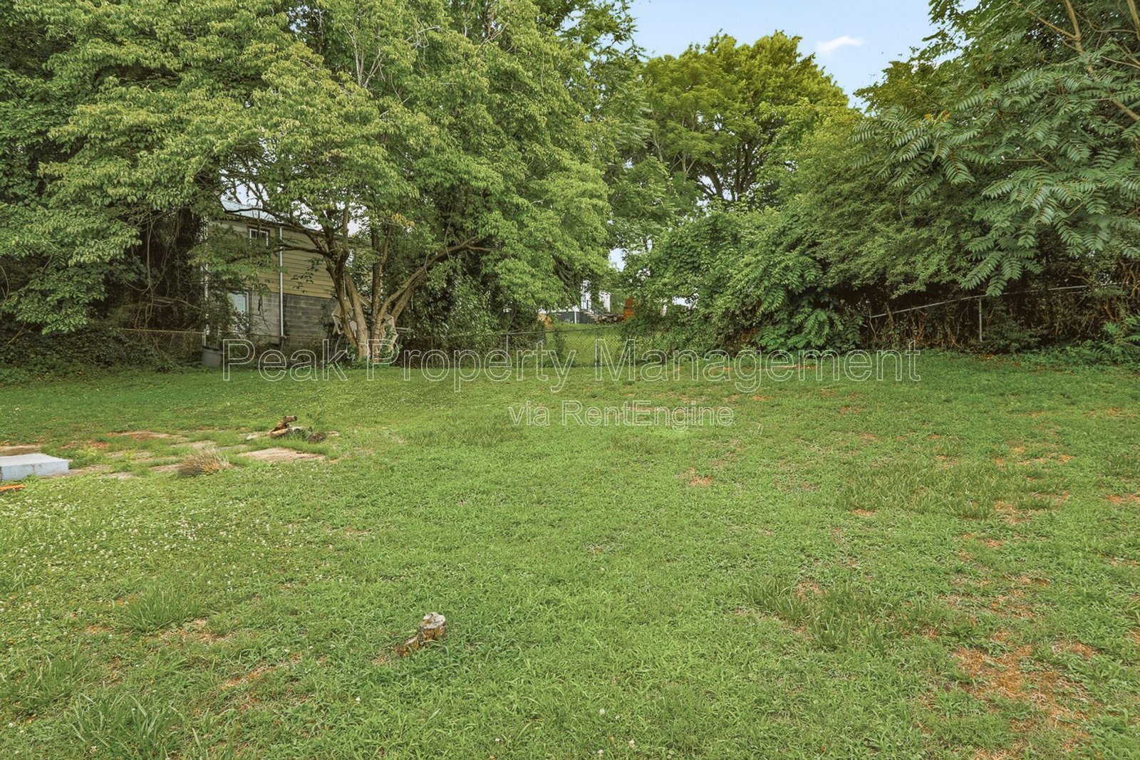 Gallery Image 16