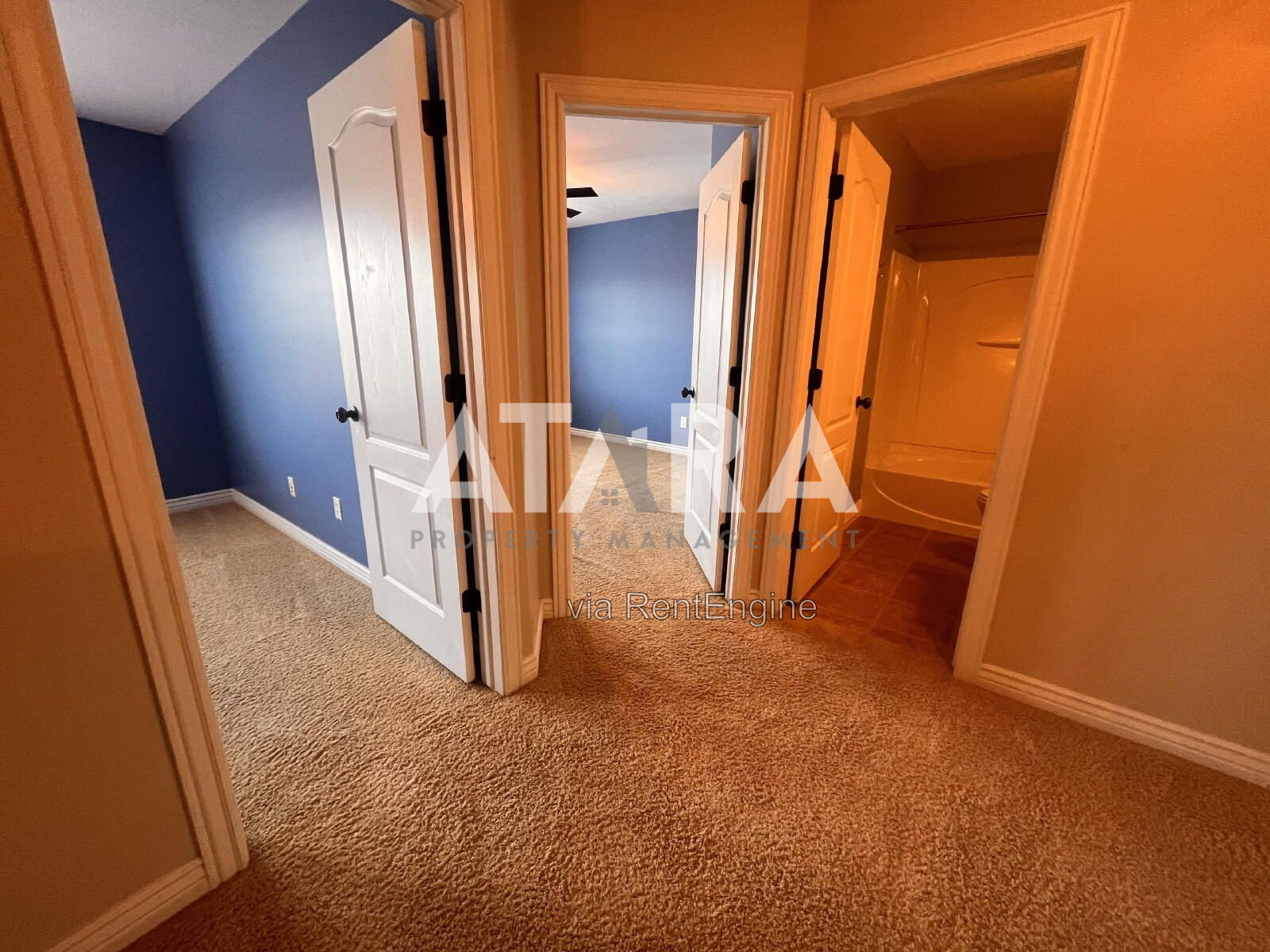Gallery Image 18