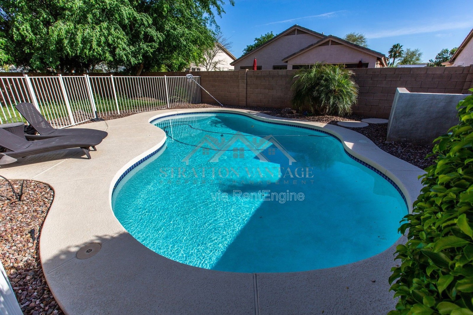 Gallery Image 49