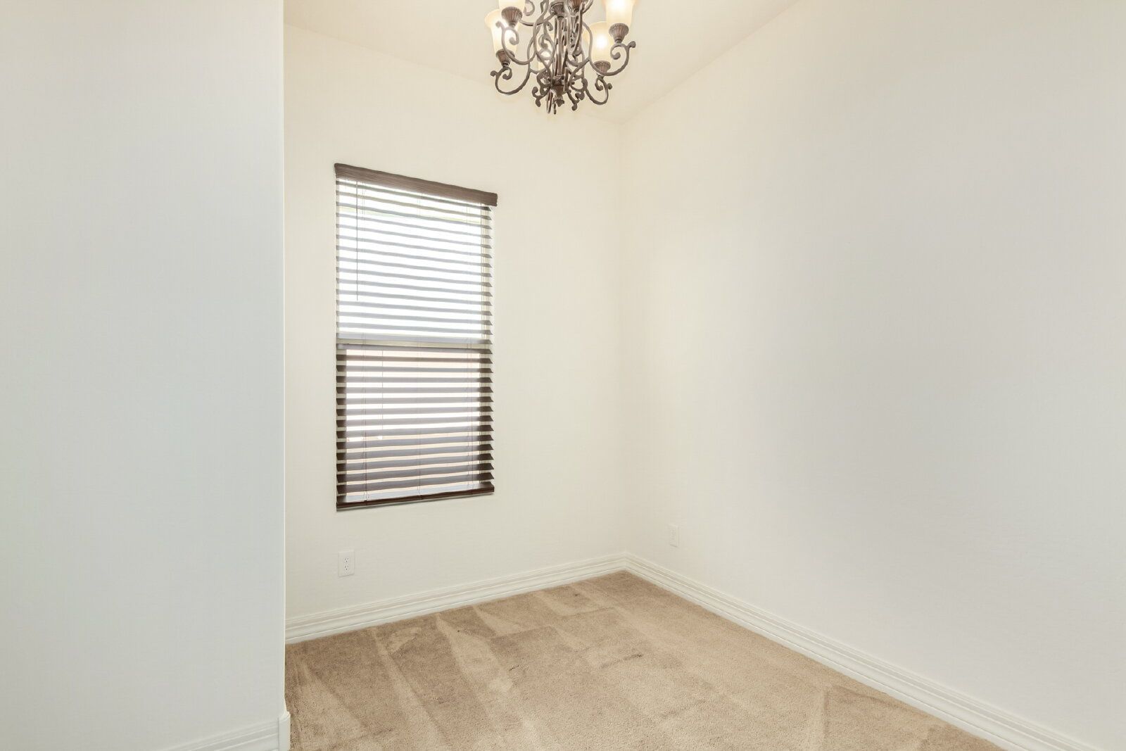 Gallery Image 19