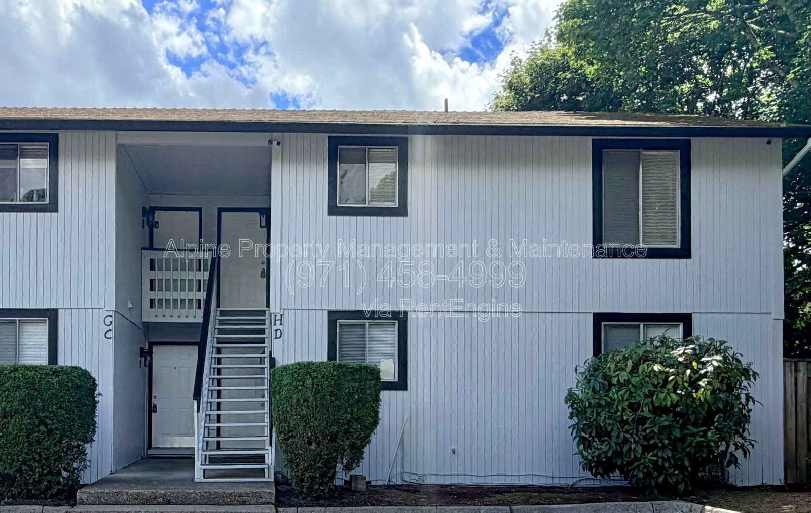 Gallery Image 16