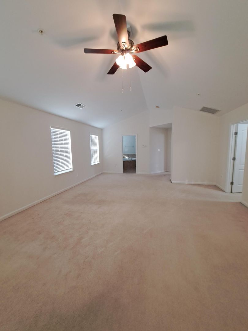 Gallery Image 42