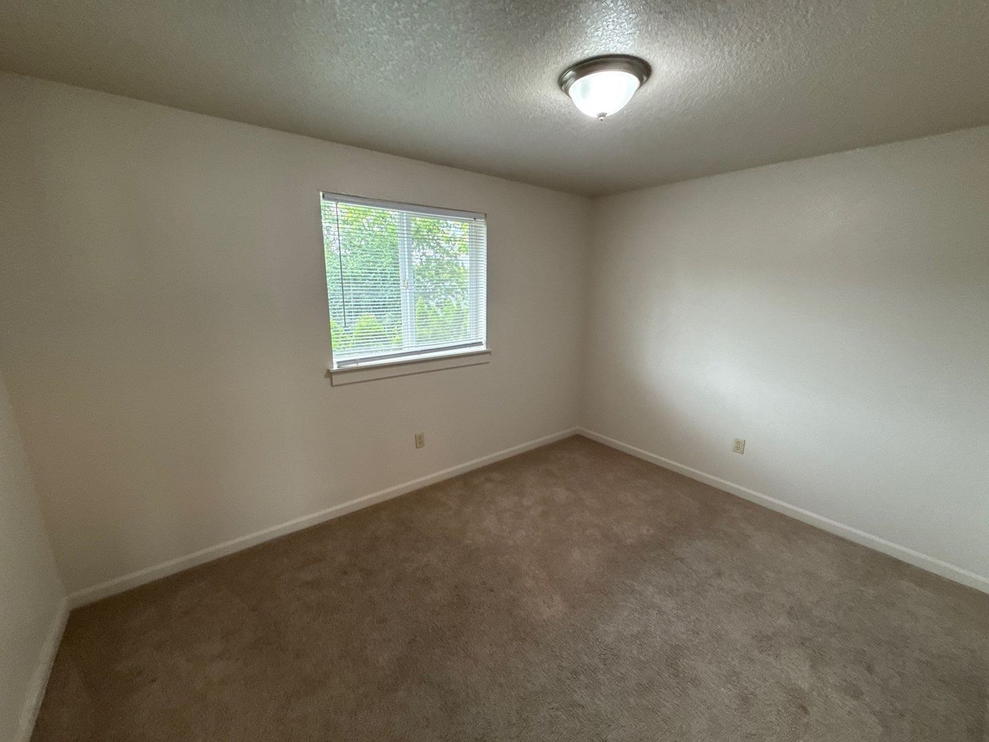 Gallery Image 19