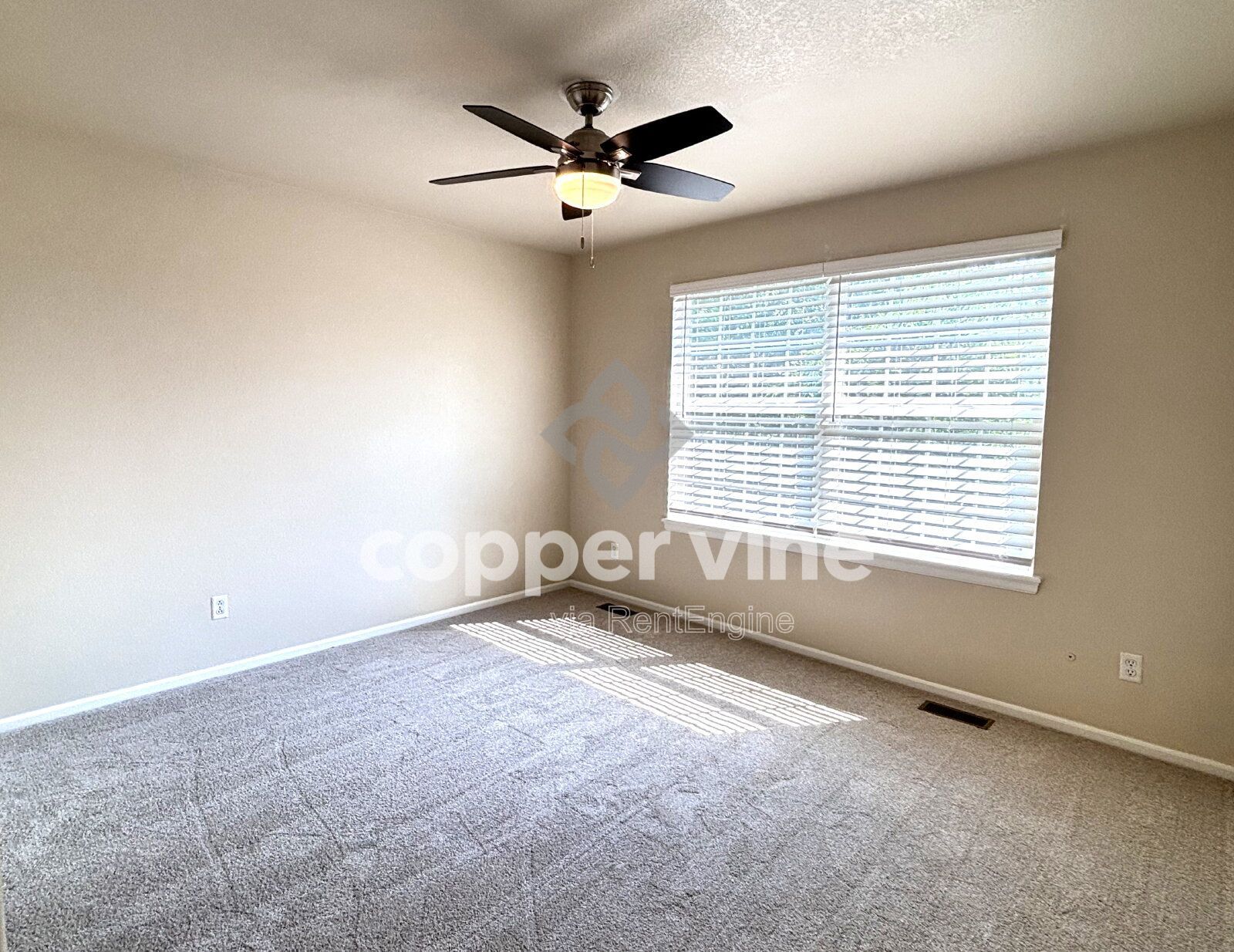 Gallery Image 25