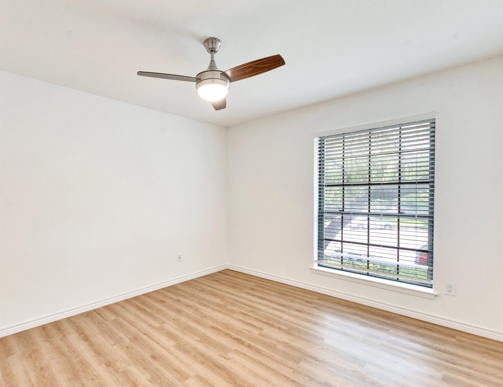 Gallery Image 19