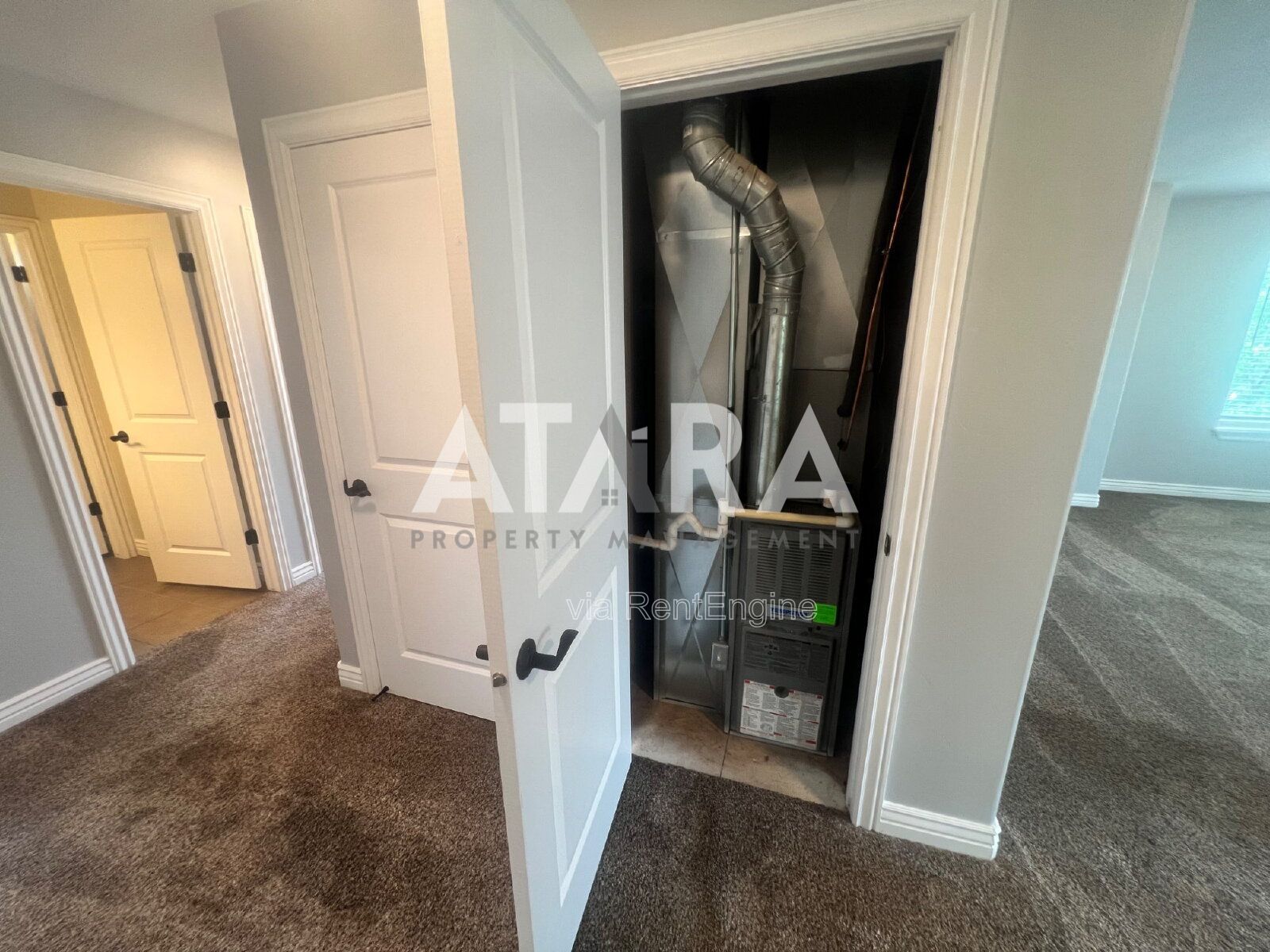 Gallery Image 26