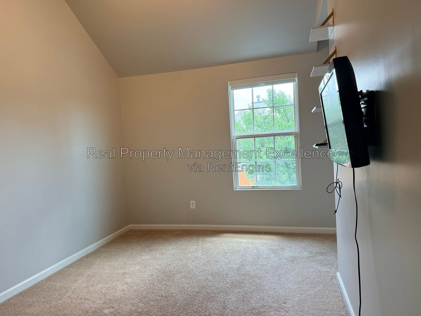 Gallery Image 19