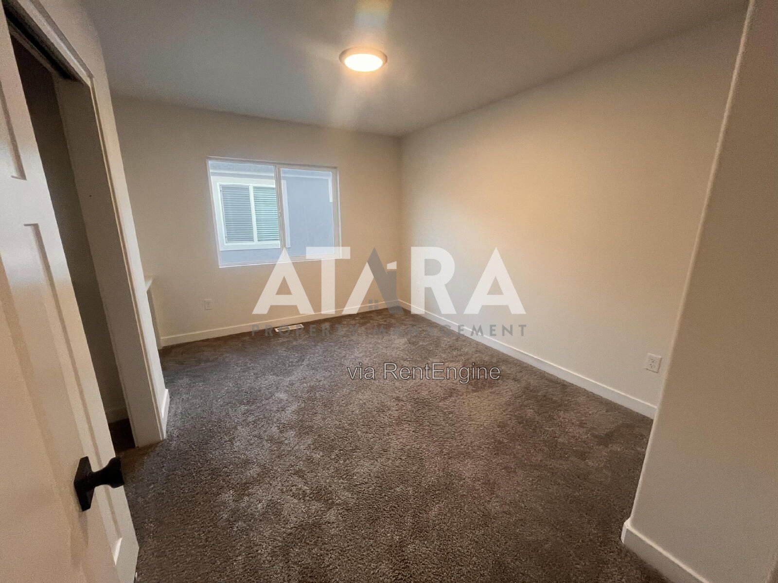Gallery Image 37