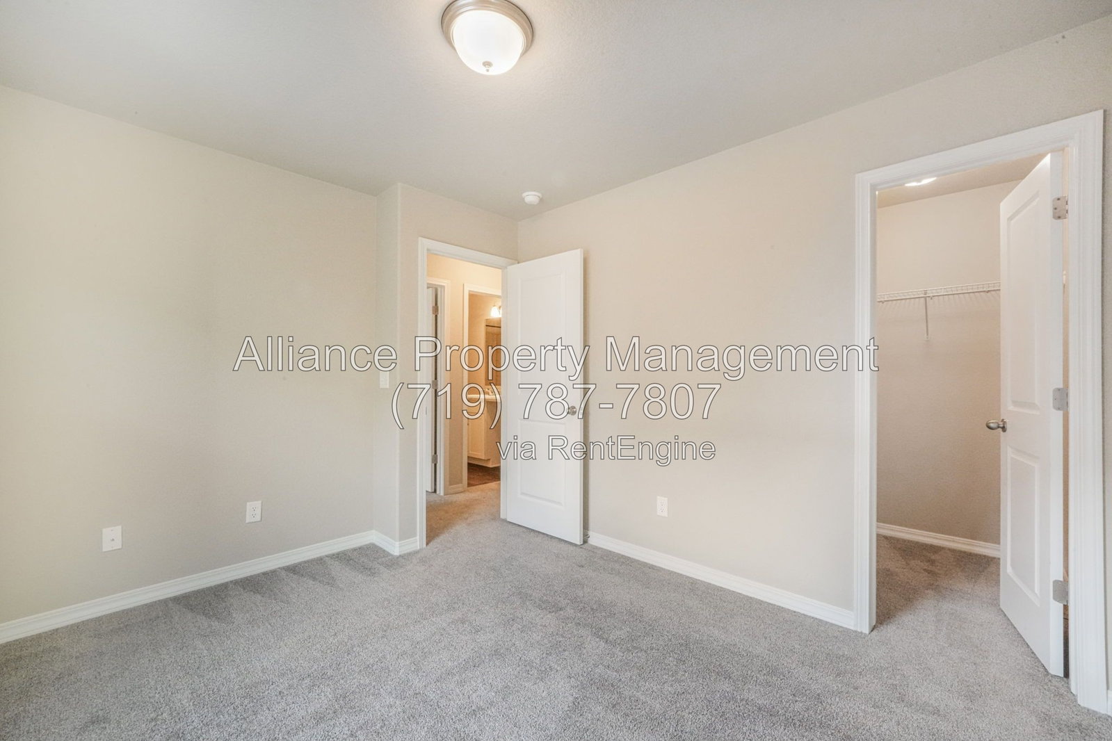 Gallery Image 41