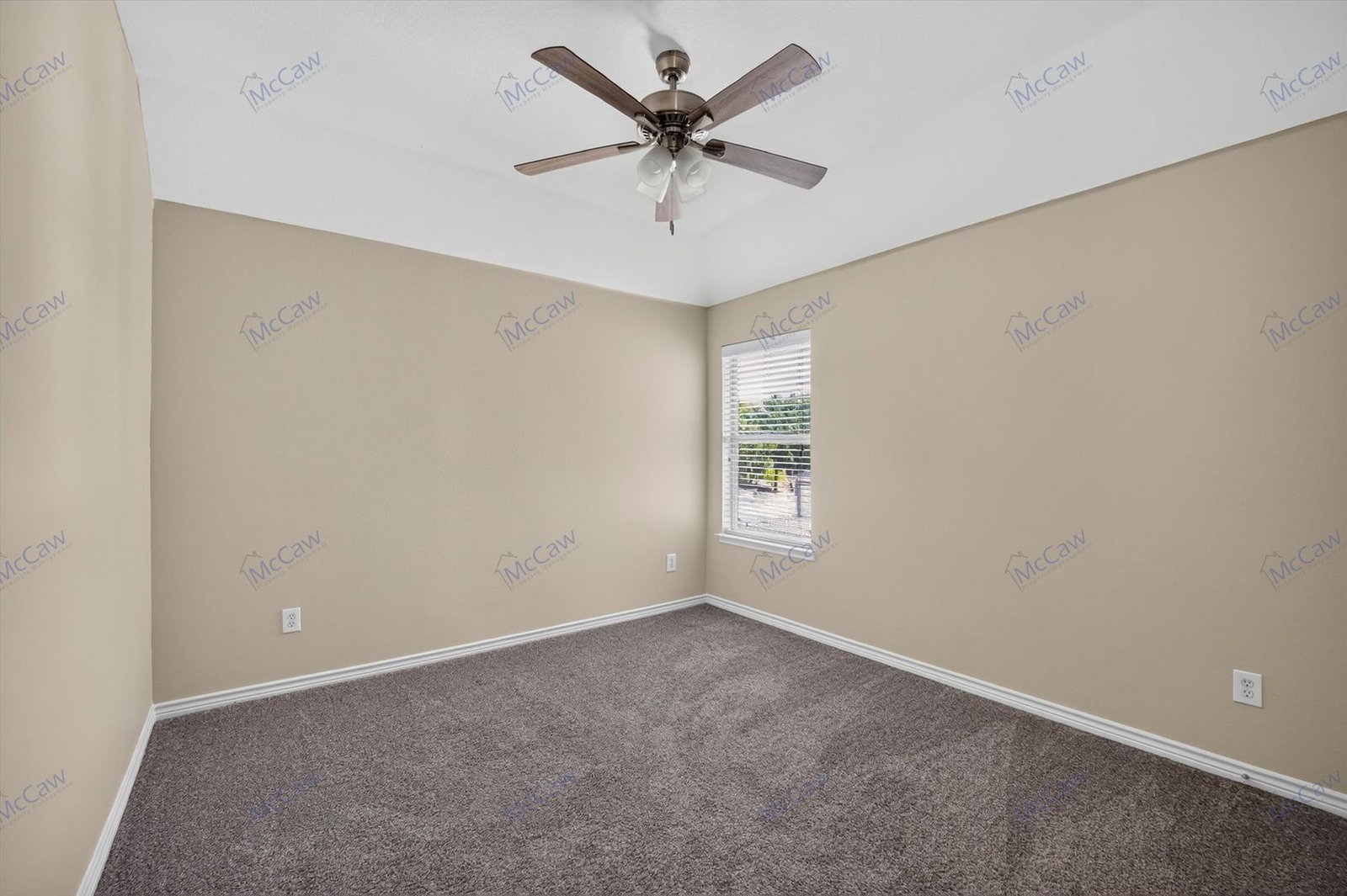 Gallery Image 21
