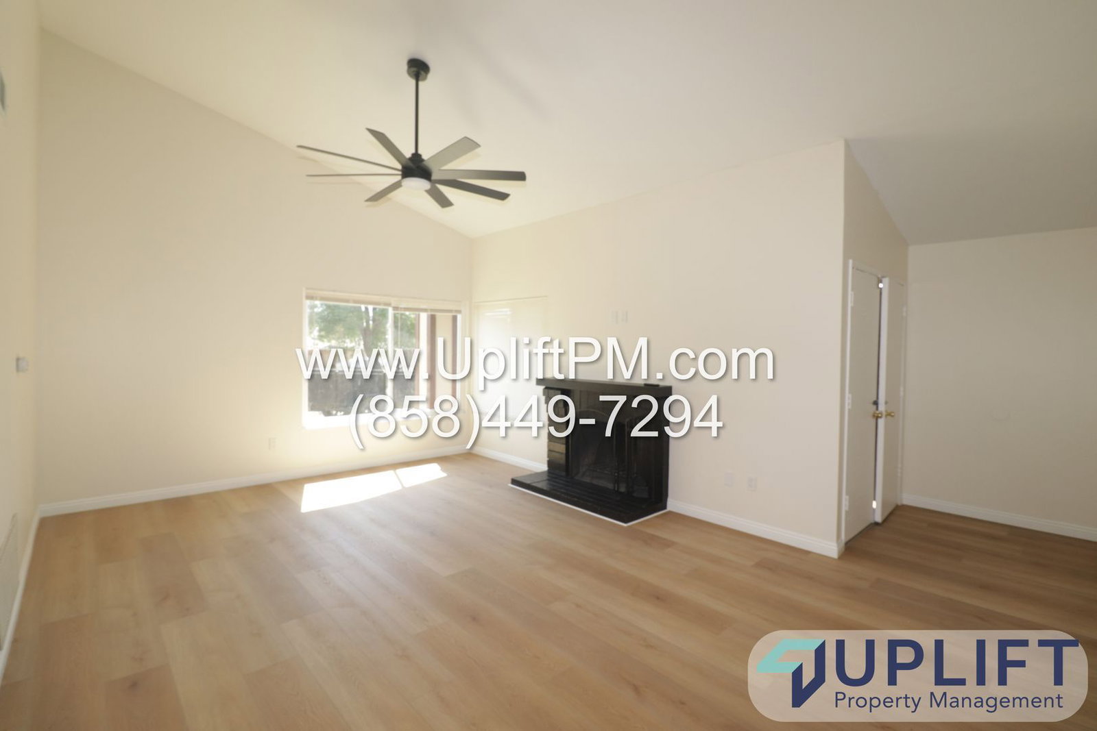 Gallery Image 0