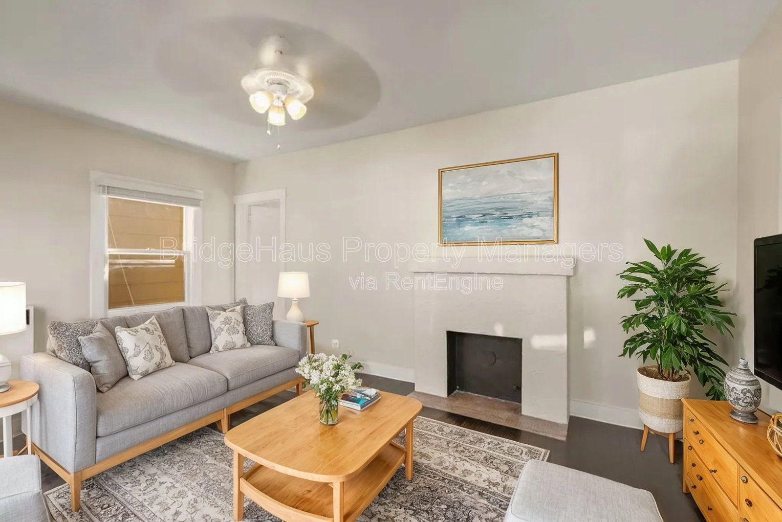 Gallery Image 0