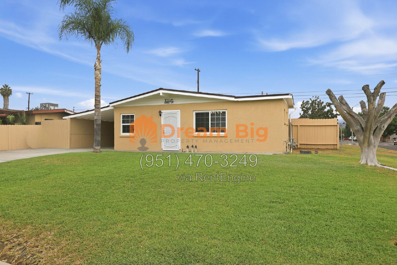 Gallery Image 33