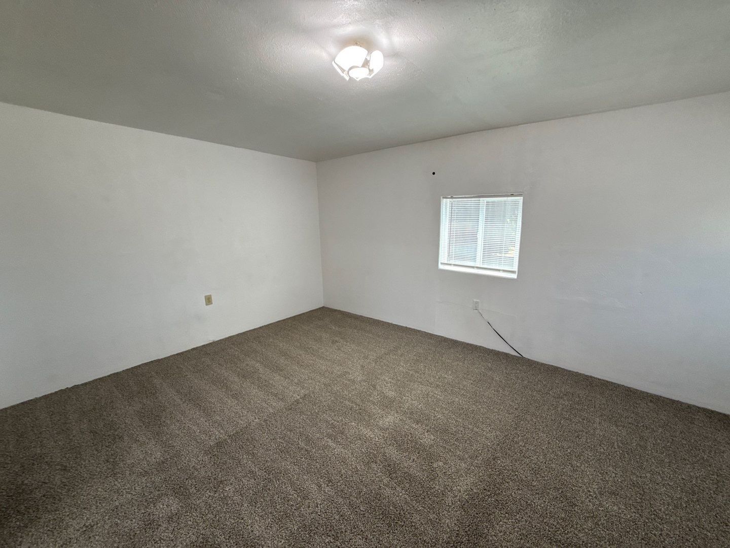 Gallery Image 19