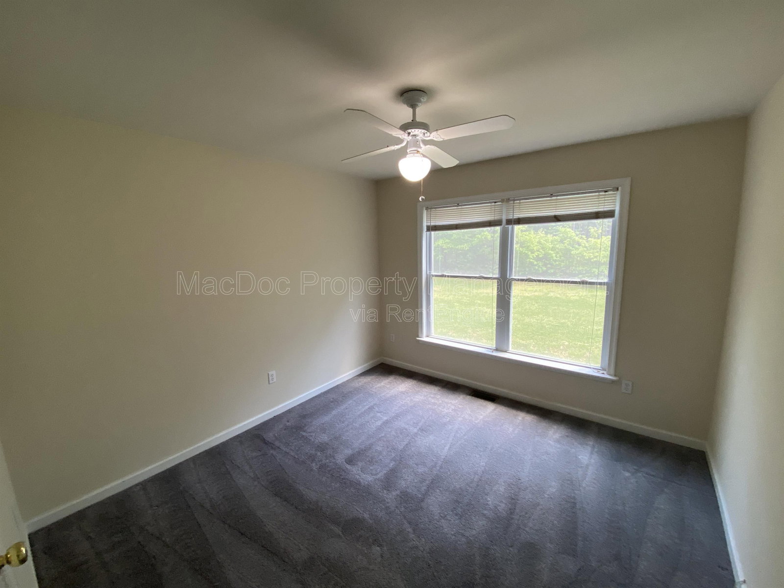 Gallery Image 18