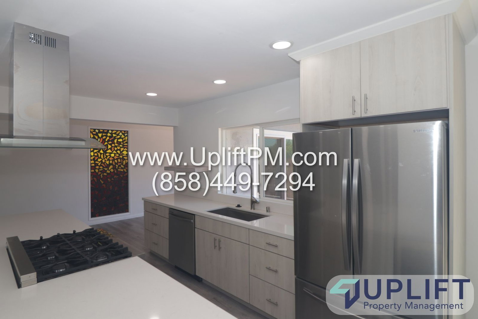 Gallery Image 7