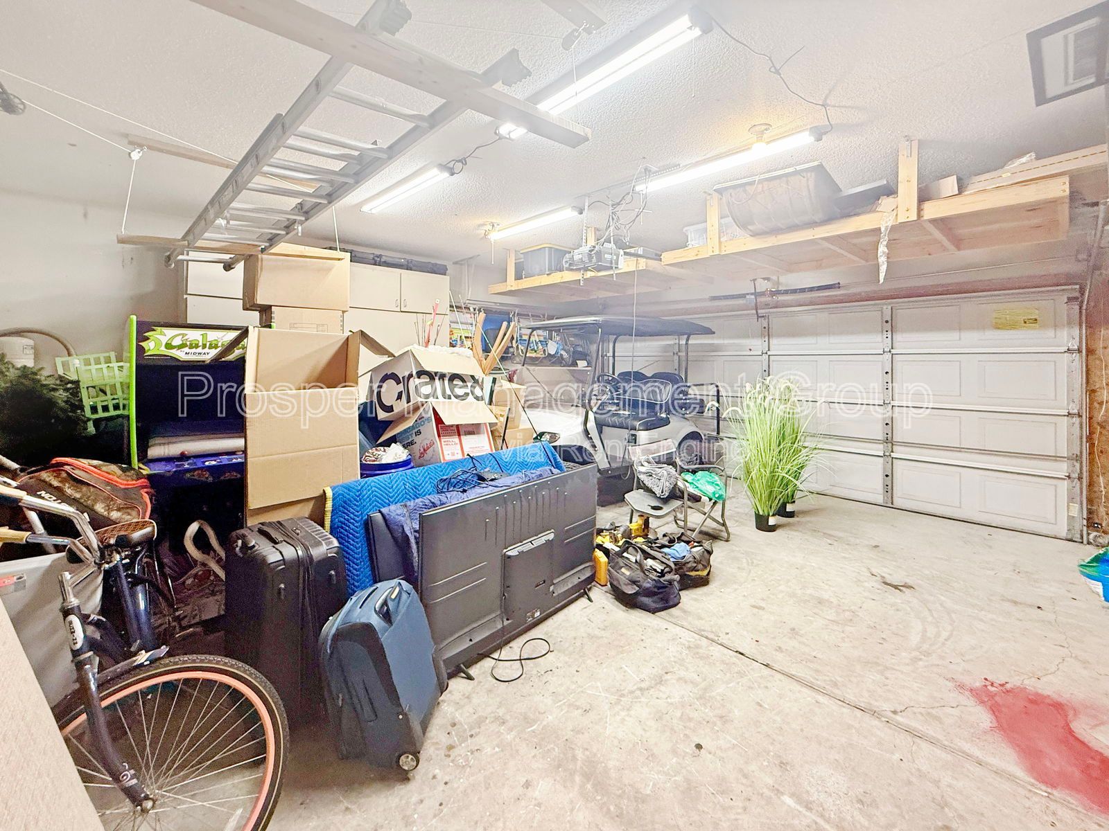 Gallery Image 36