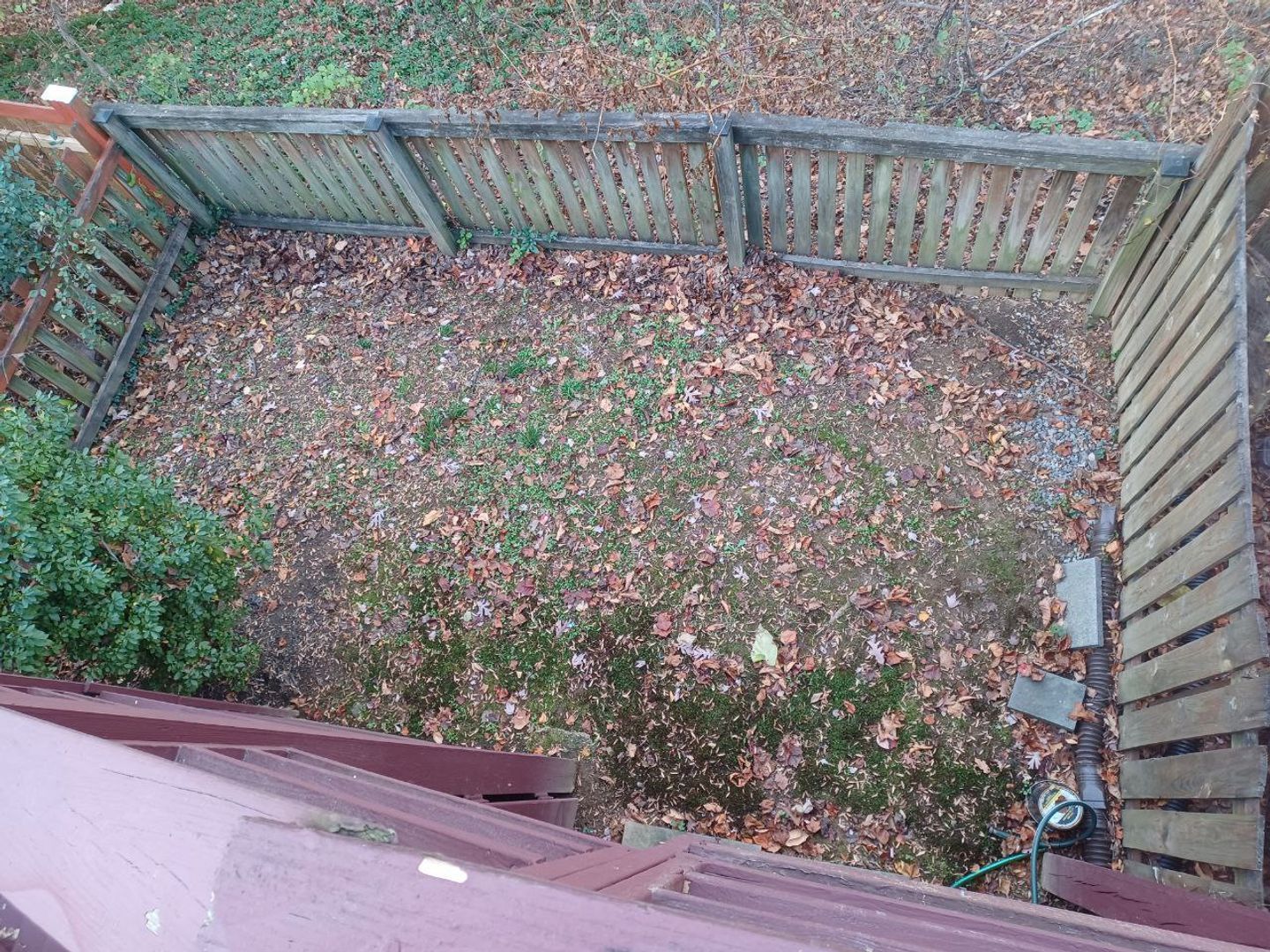 Gallery Image 49