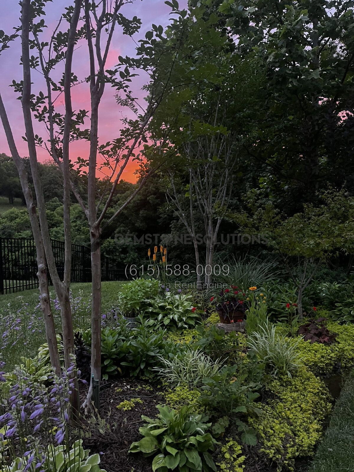 Gallery Image 46