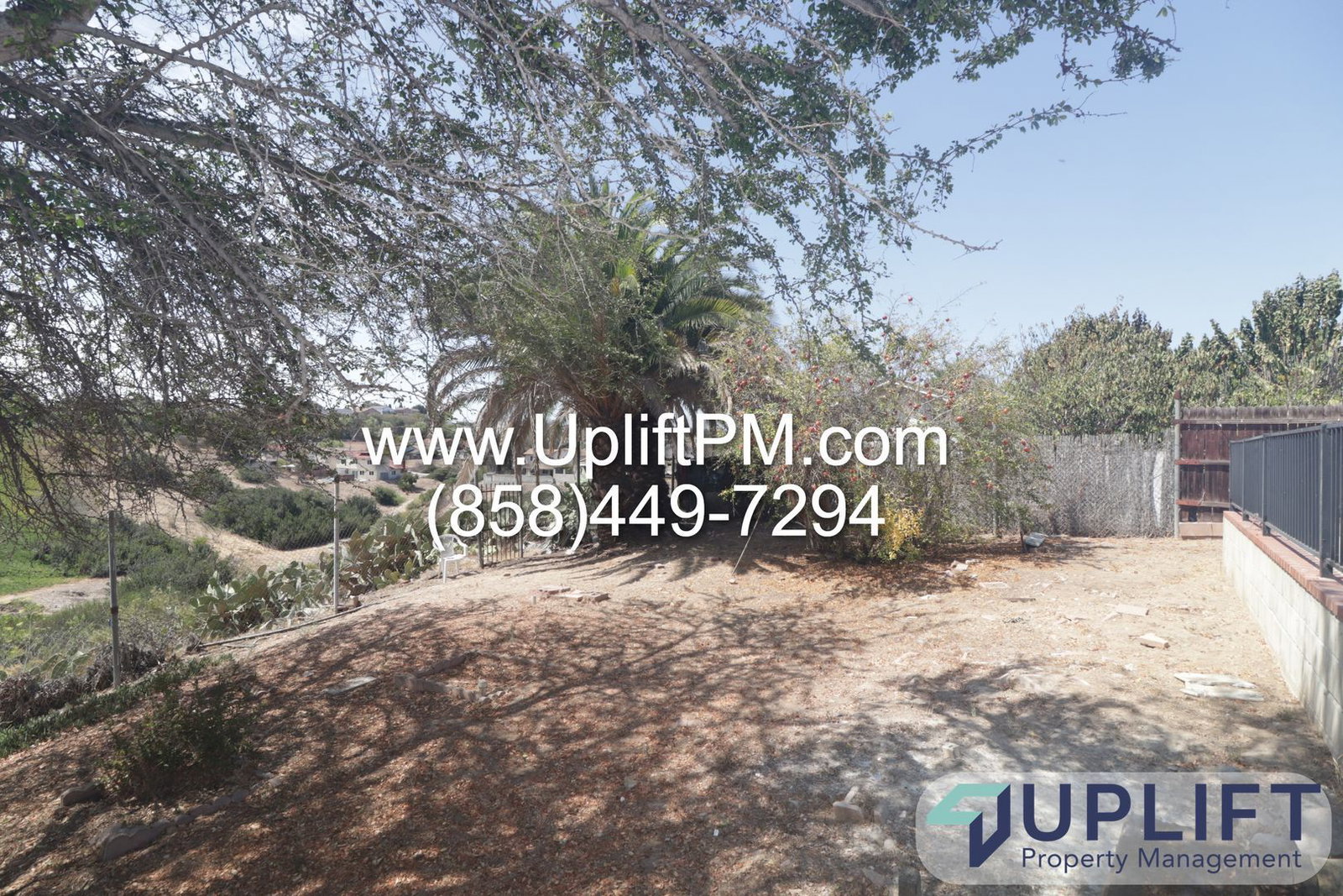 Gallery Image 17