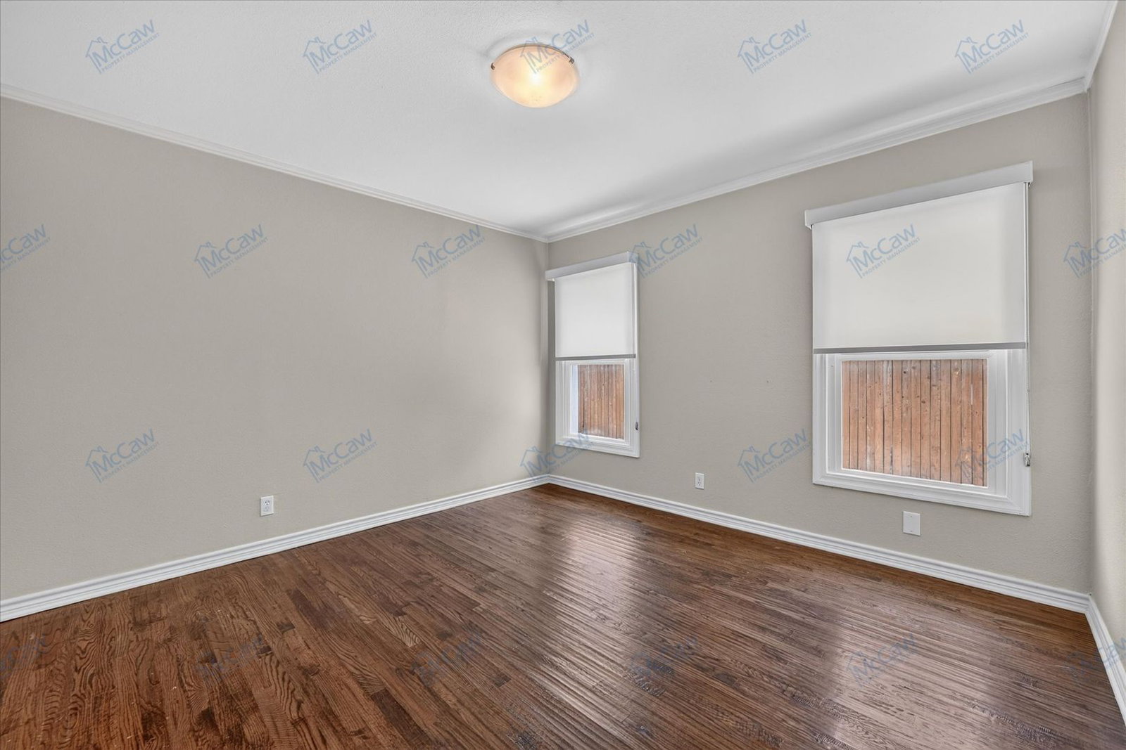 Gallery Image 16