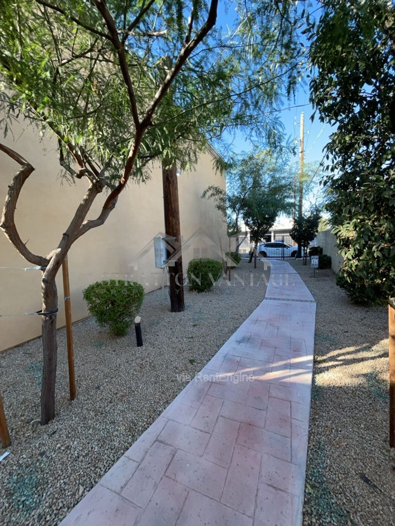 Gallery Image 63
