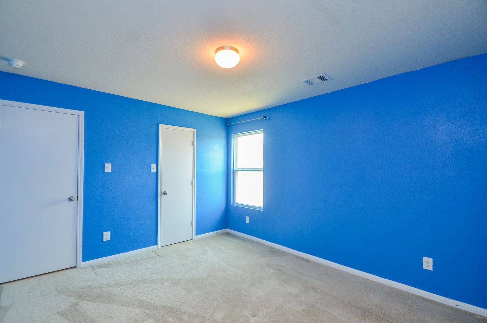 Gallery Image 19