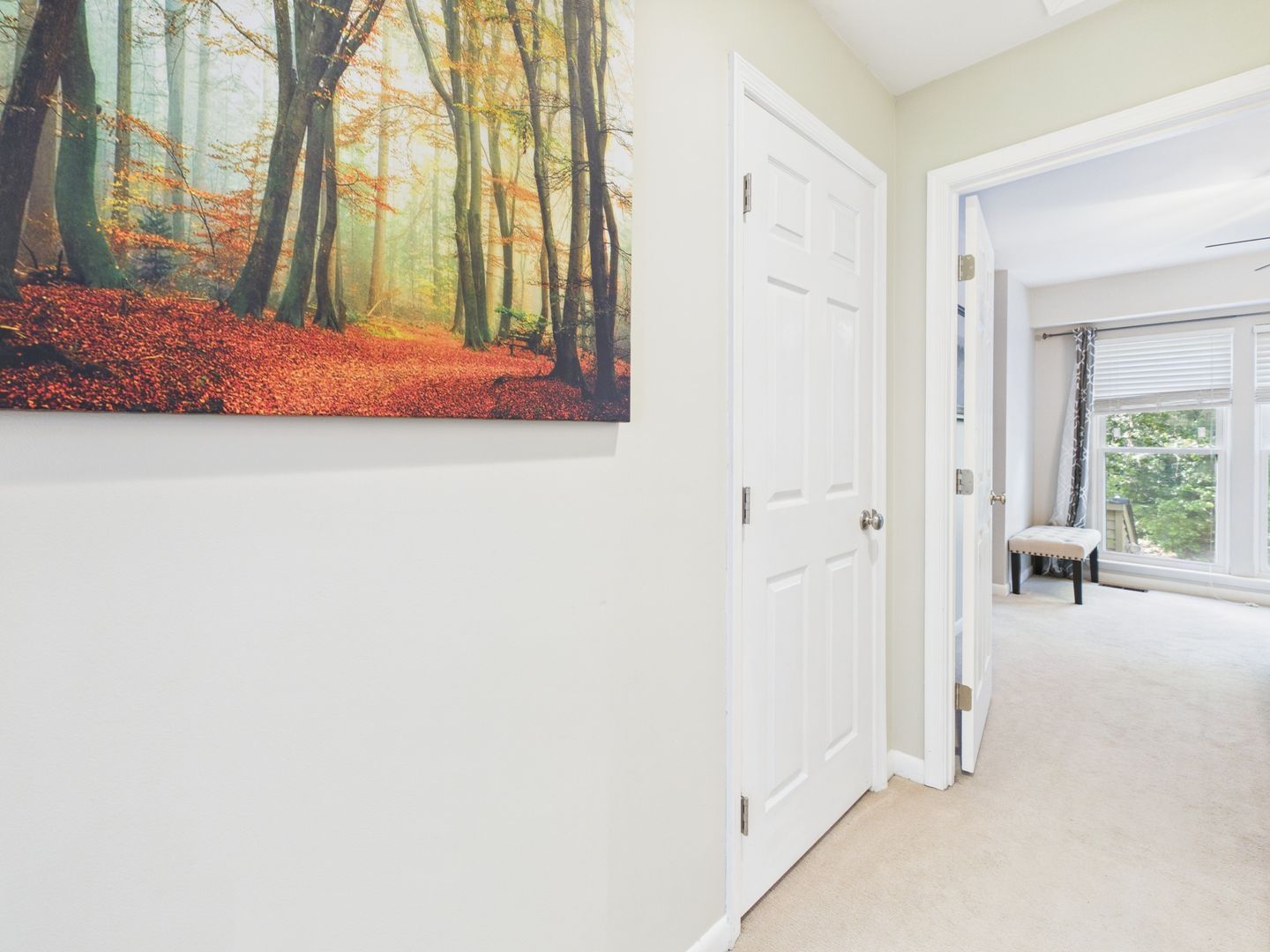 Gallery Image 18