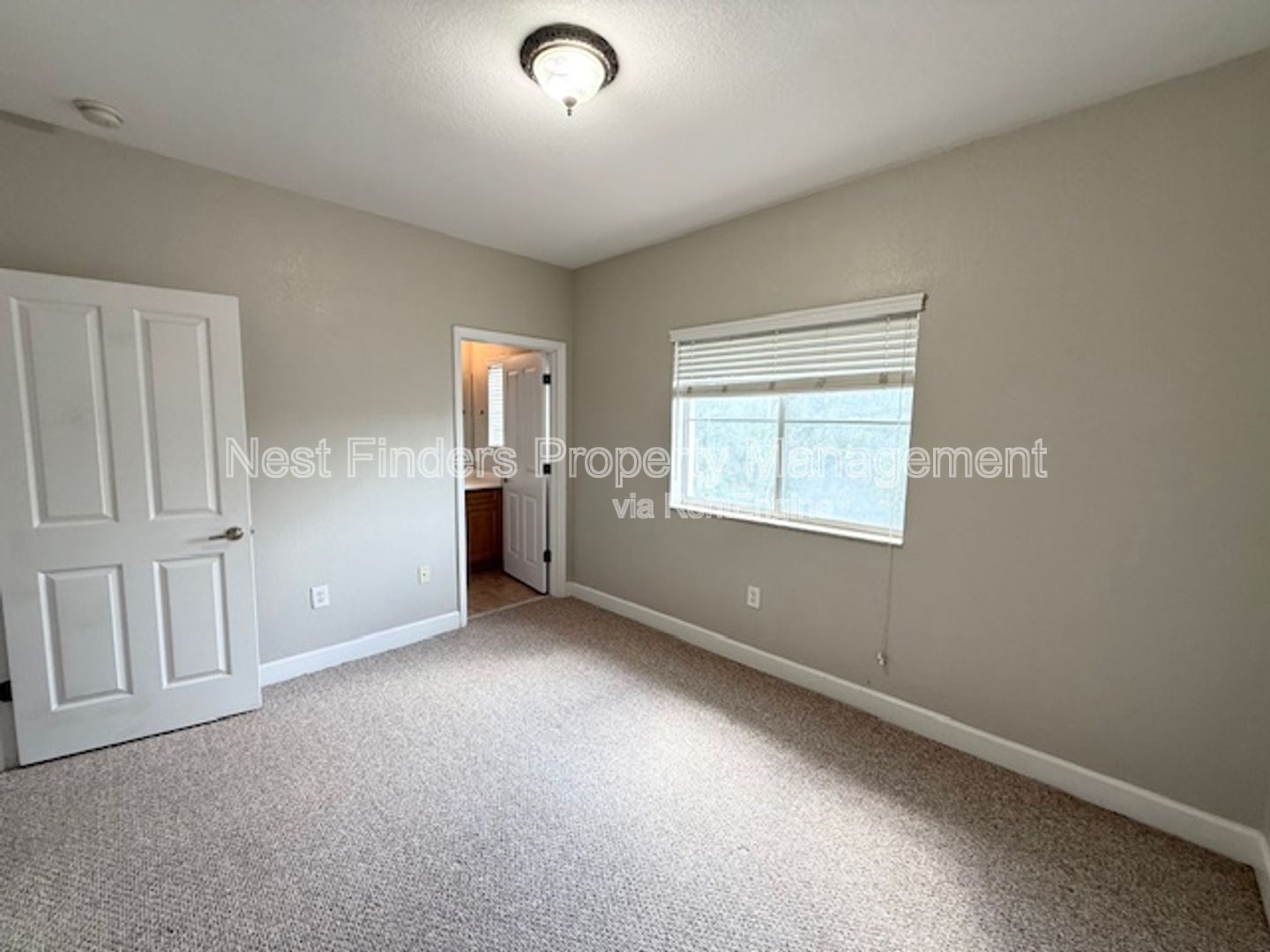 Gallery Image 23