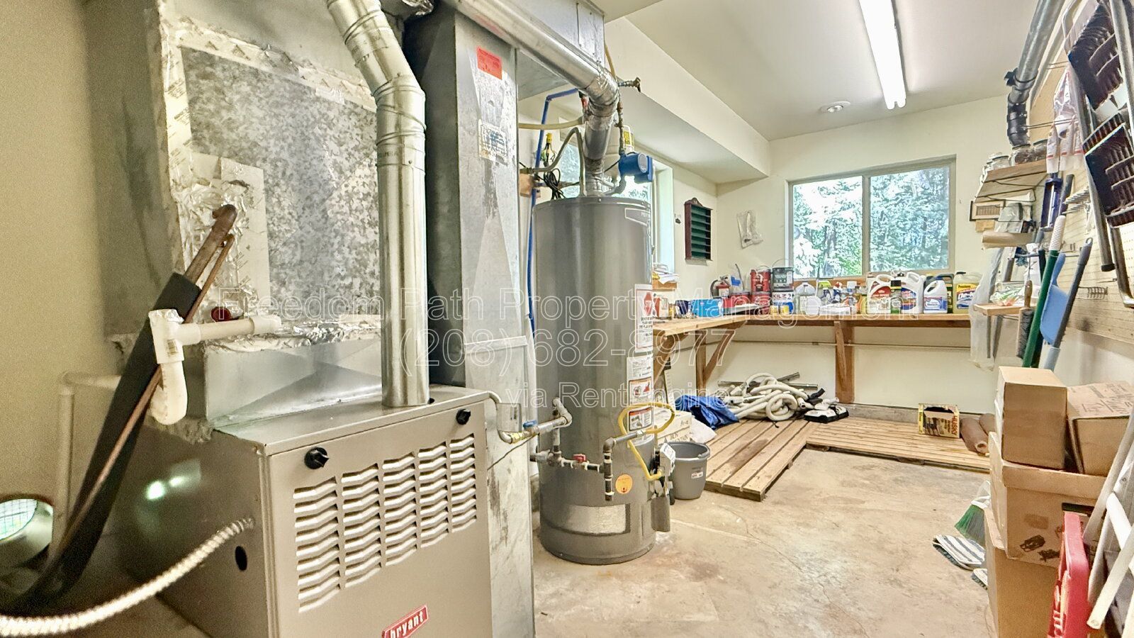 Gallery Image 41