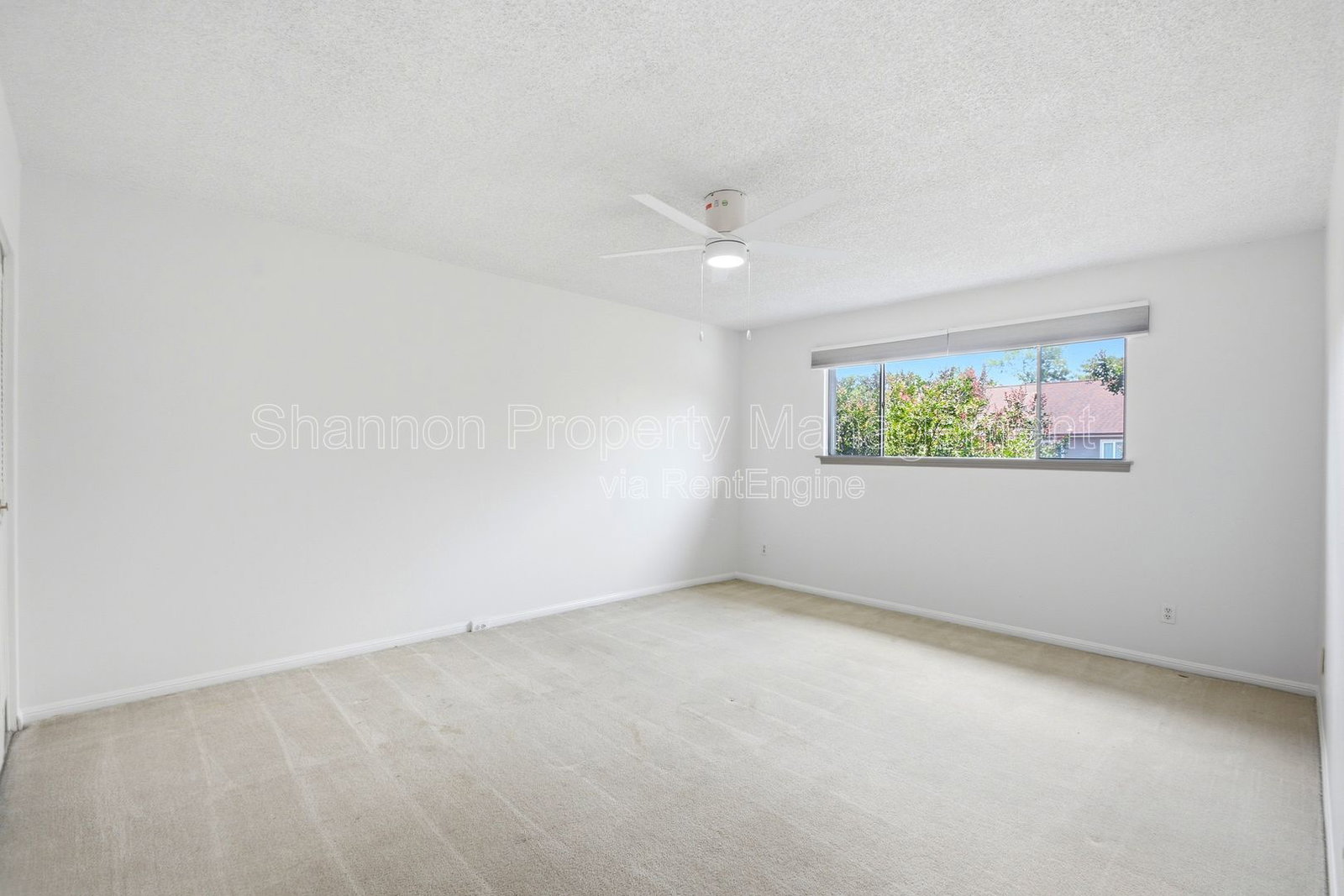 Gallery Image 36
