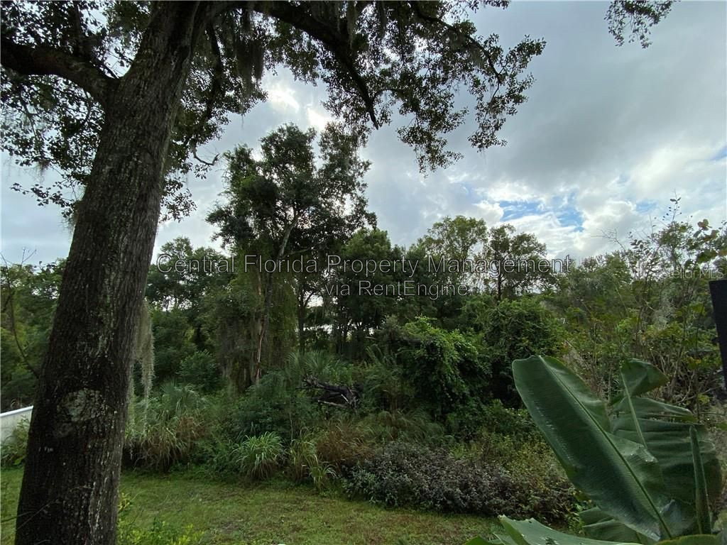 Gallery Image 19