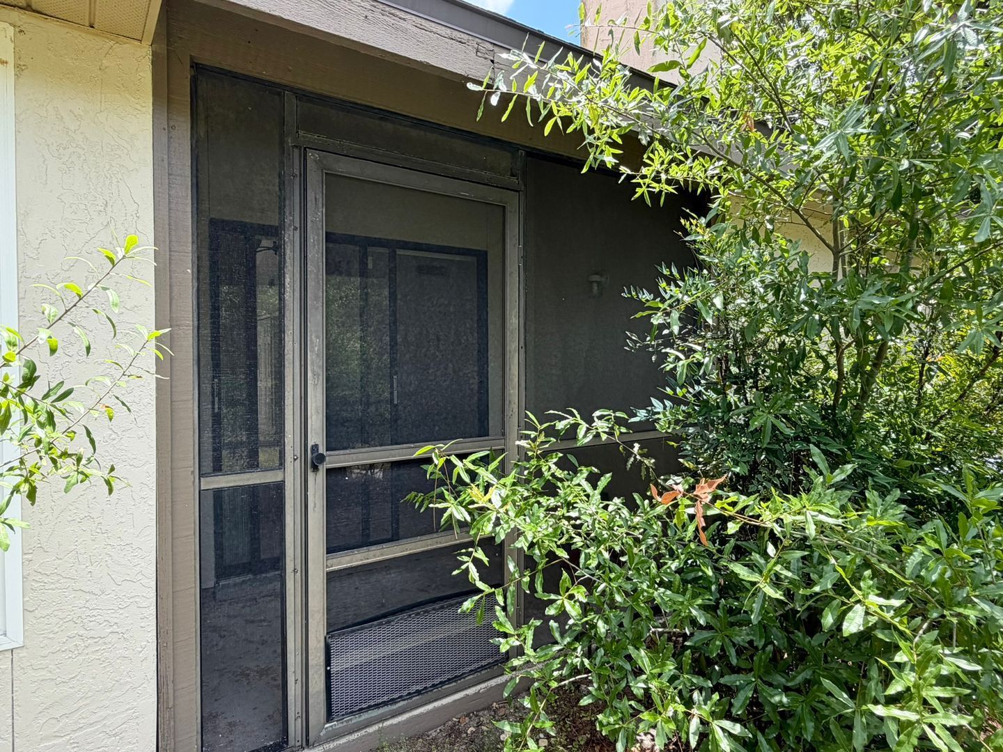 Gallery Image 16