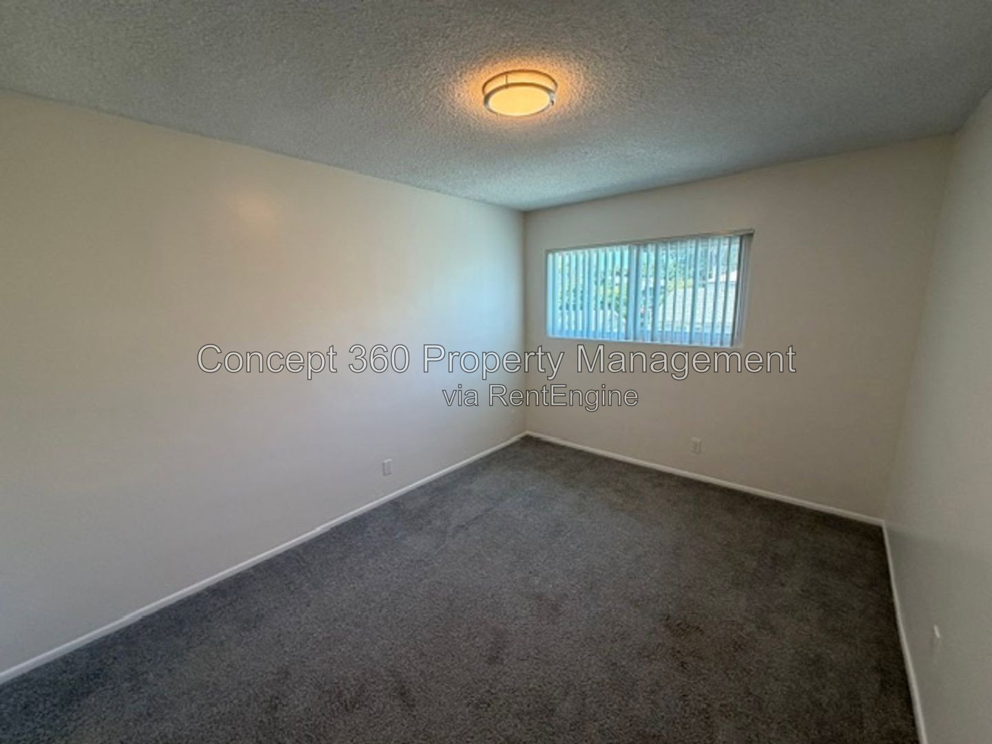 Gallery Image 26