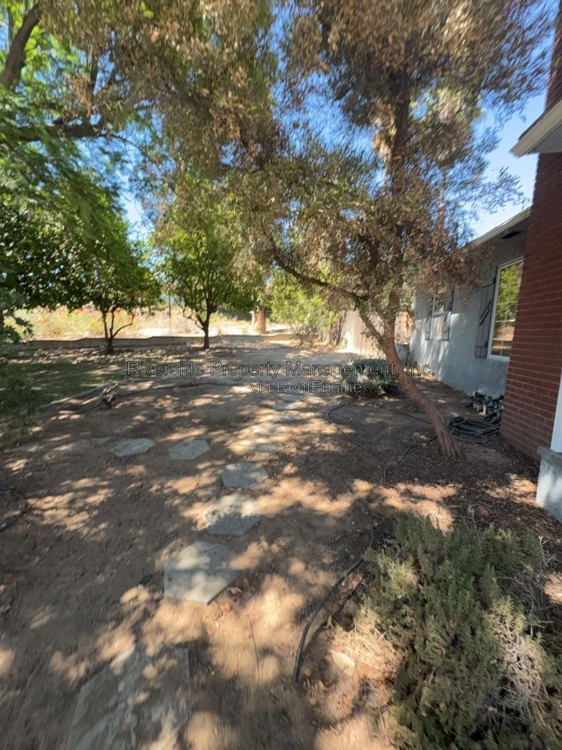 Gallery Image 17