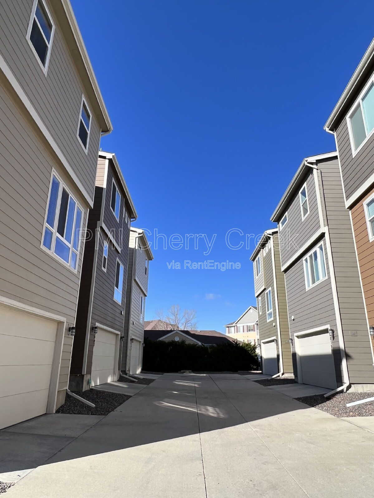 Gallery Image 42