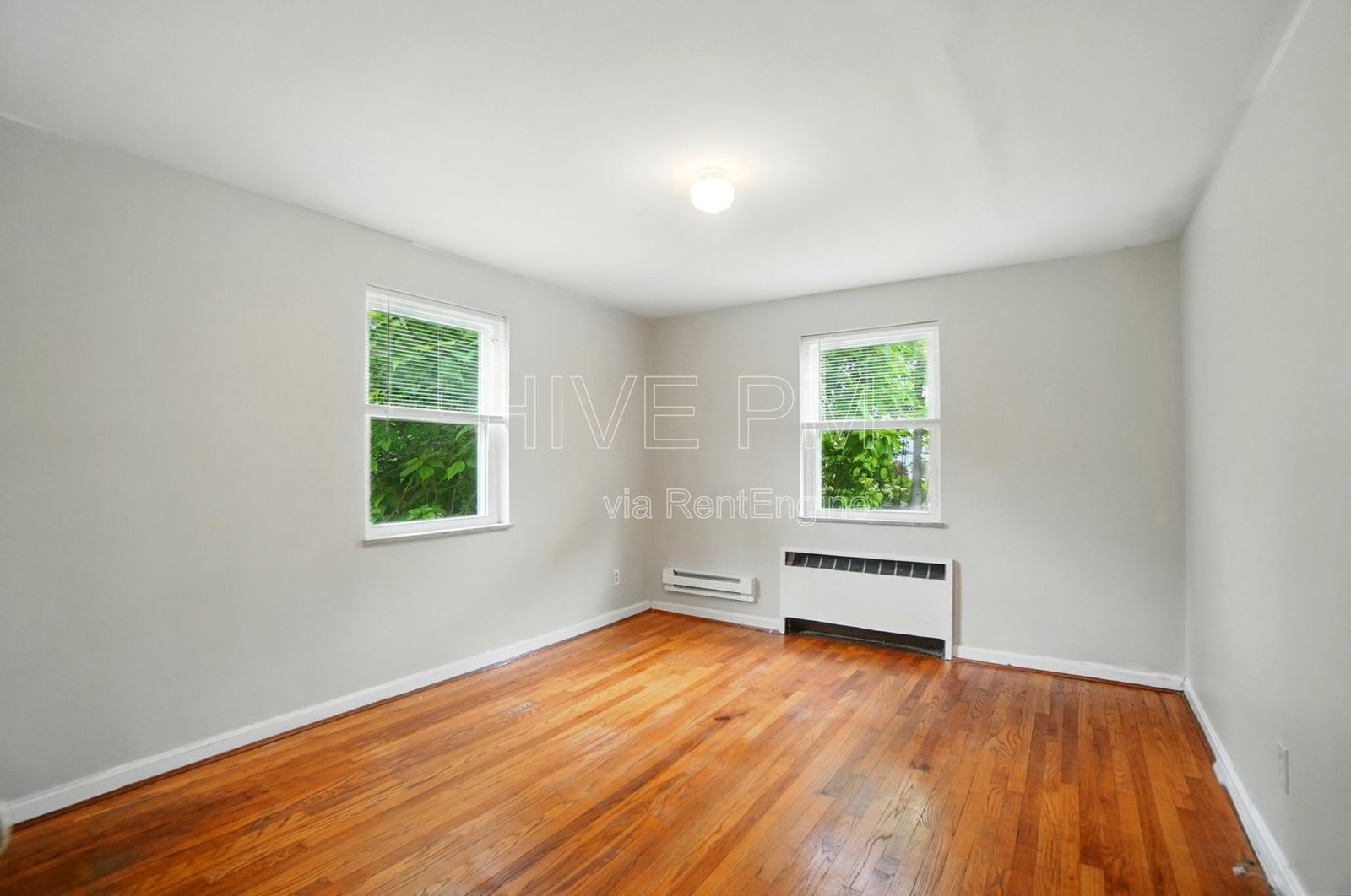 Gallery Image 16
